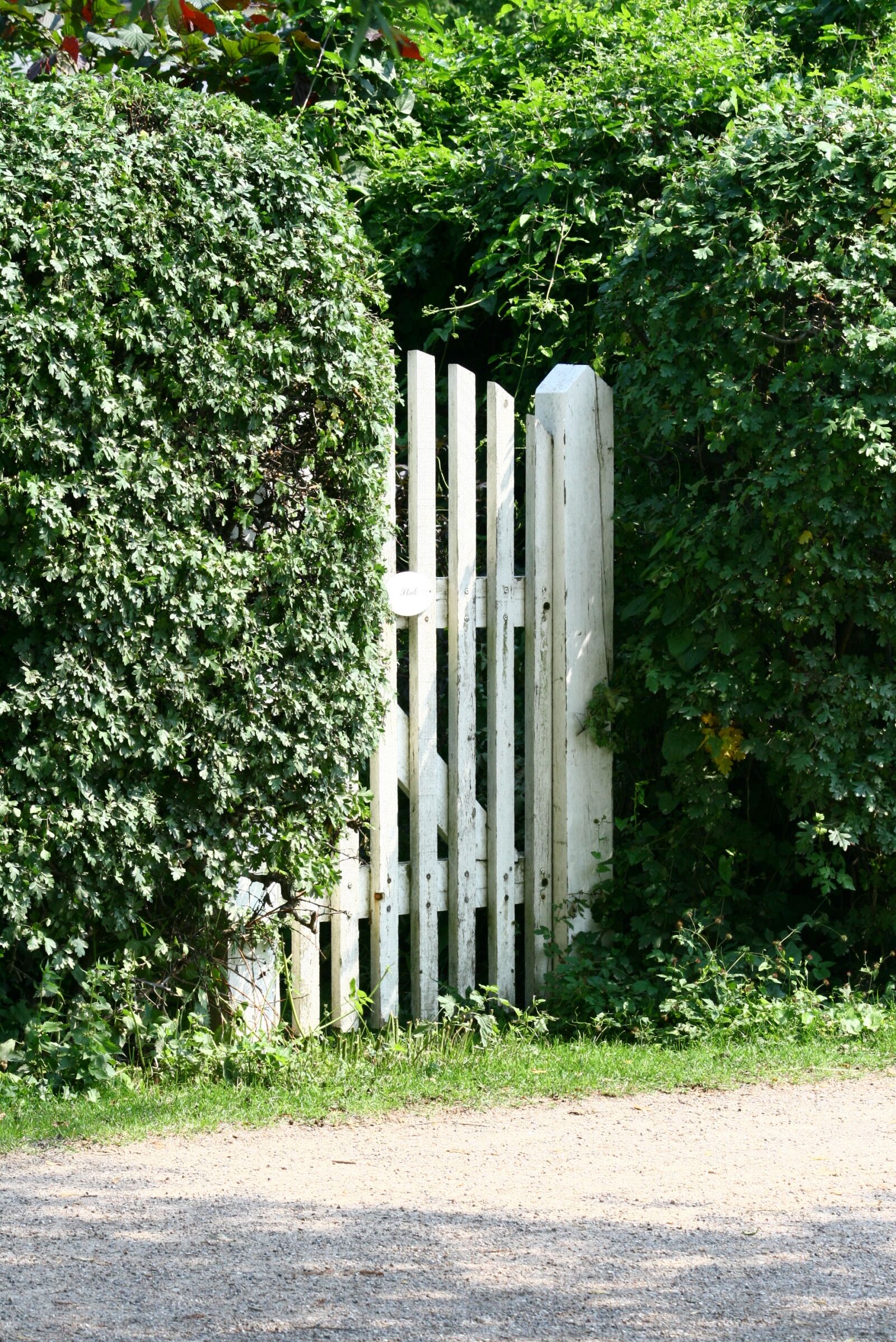 Canon EOS 400D (EOS Digital Rebel XTi / EOS Kiss Digital X) sample photo. Garden gate, holiday house photography