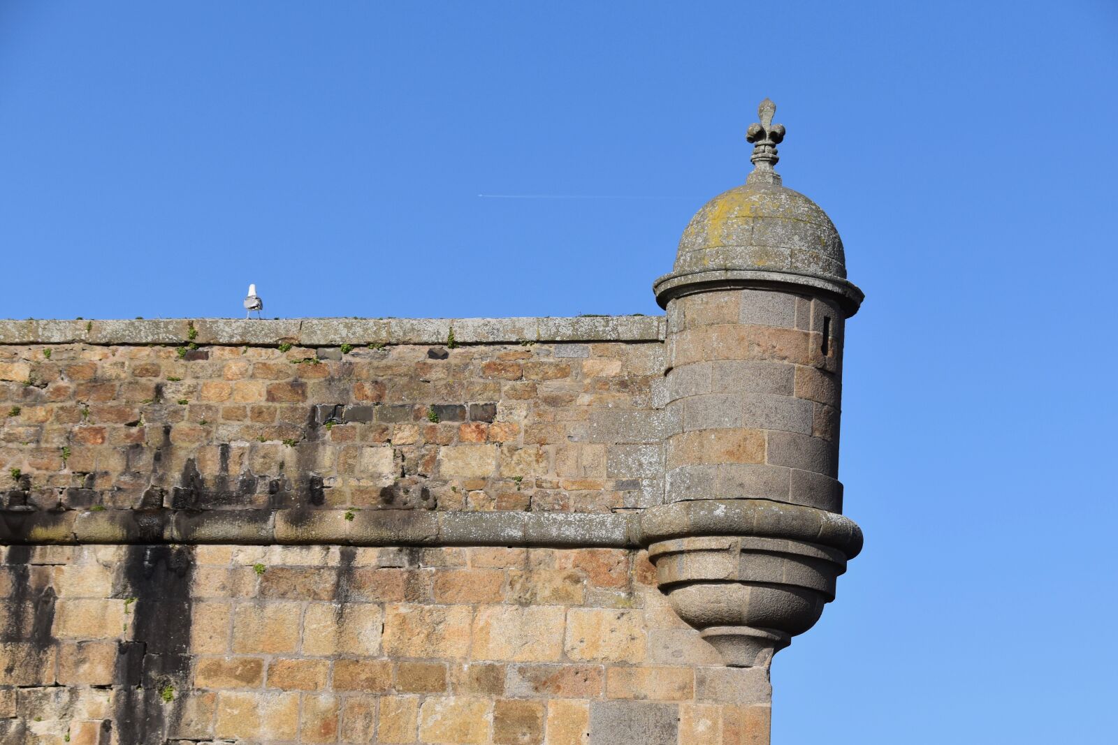Nikon D5600 sample photo. Turret, ramparts, saint malo photography
