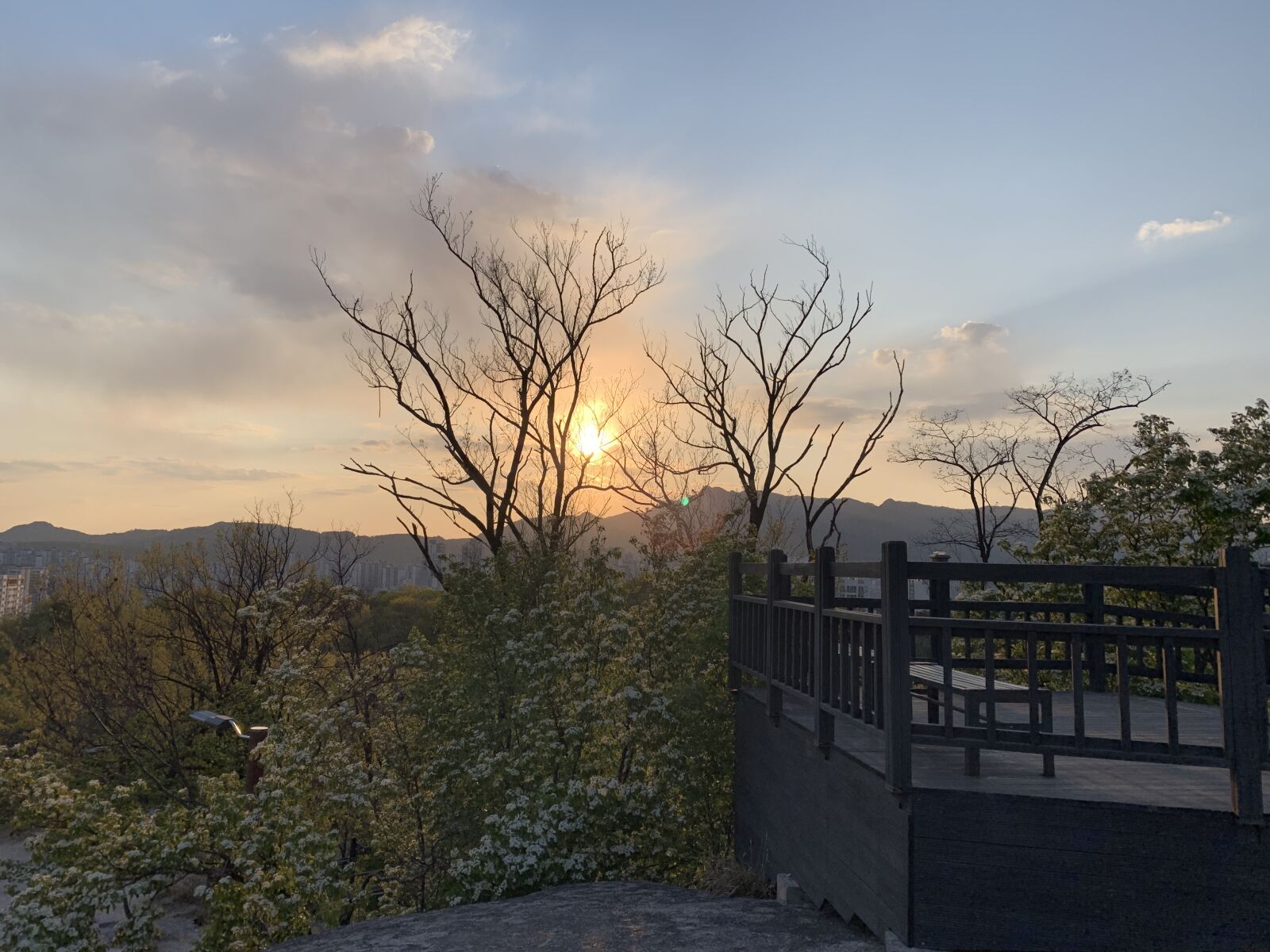 Apple iPhone XR sample photo. Sunset, old estate park photography