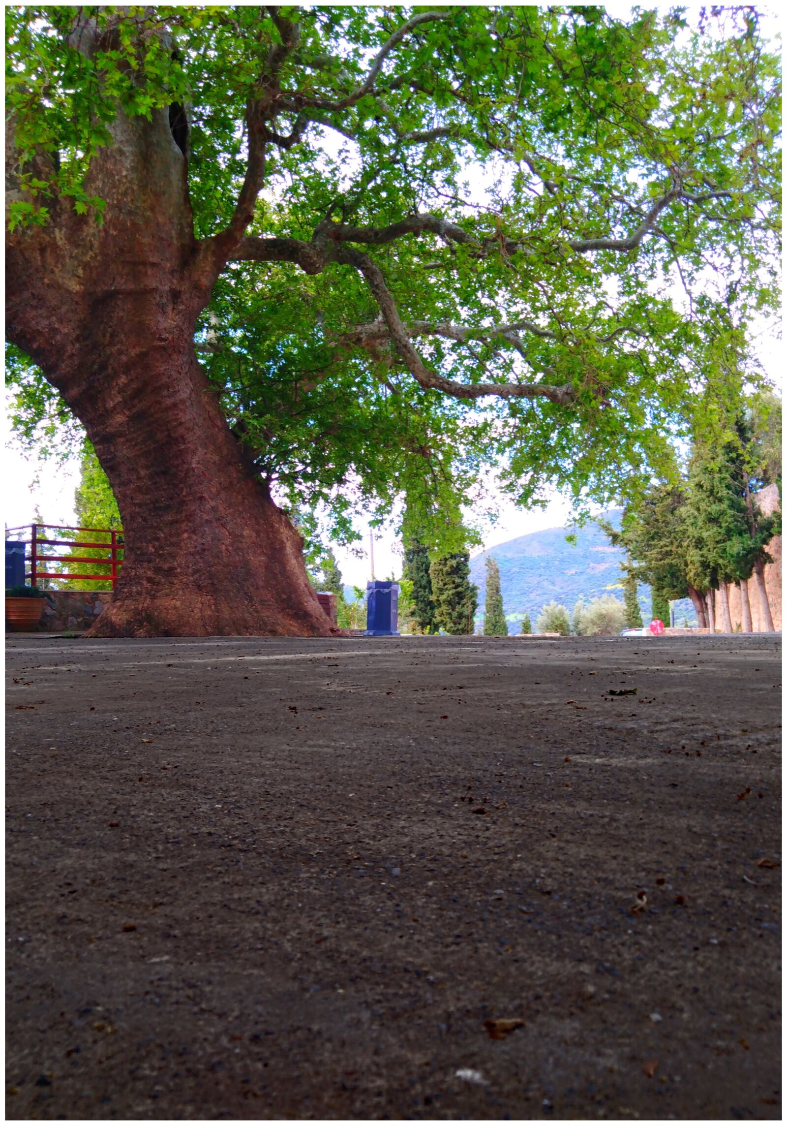HUAWEI Y6 PRIME 2018 sample photo. Church, vrontisi, zaros photography