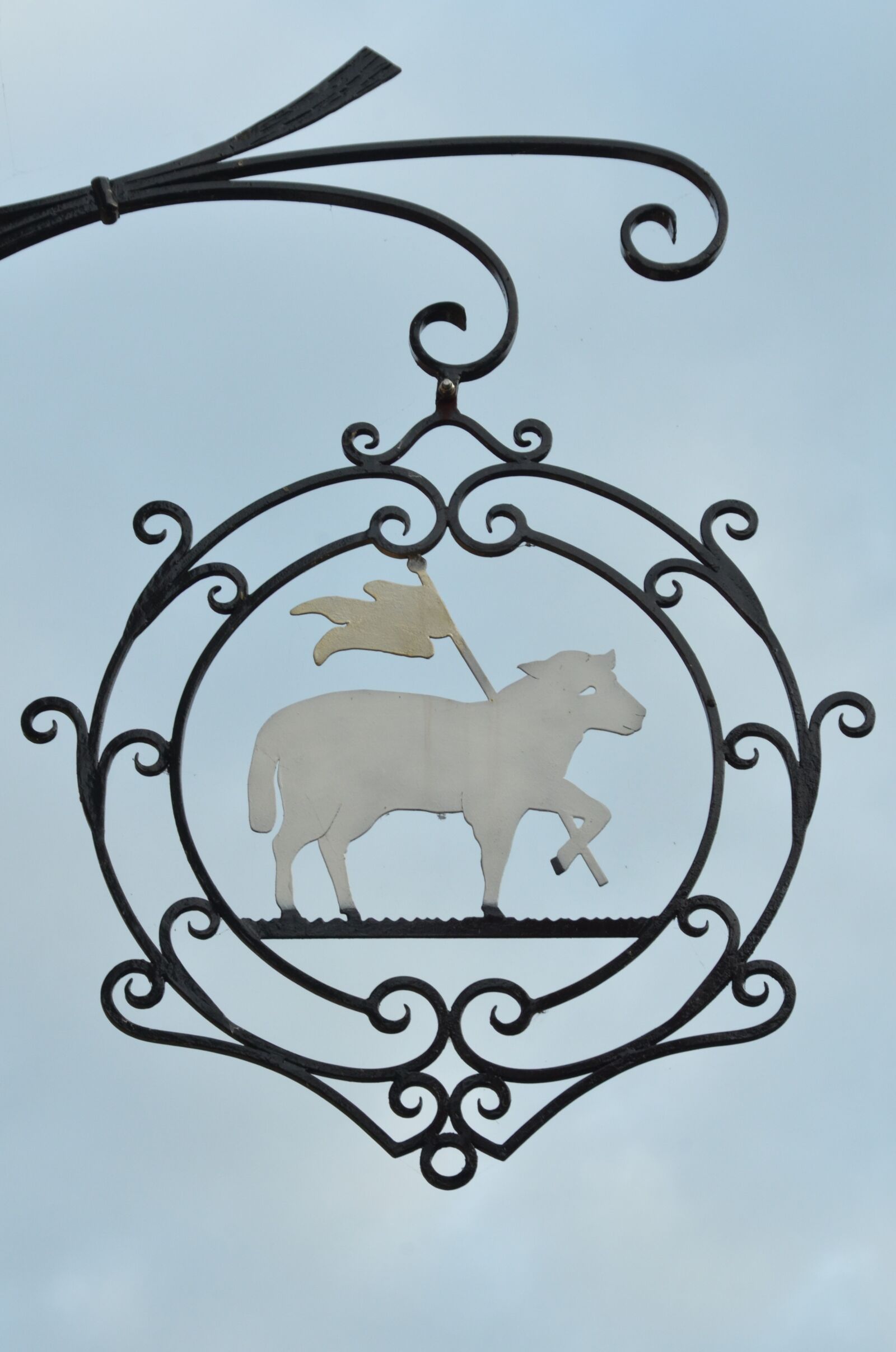 Nikon D7000 sample photo. Shield, board, sheep photography