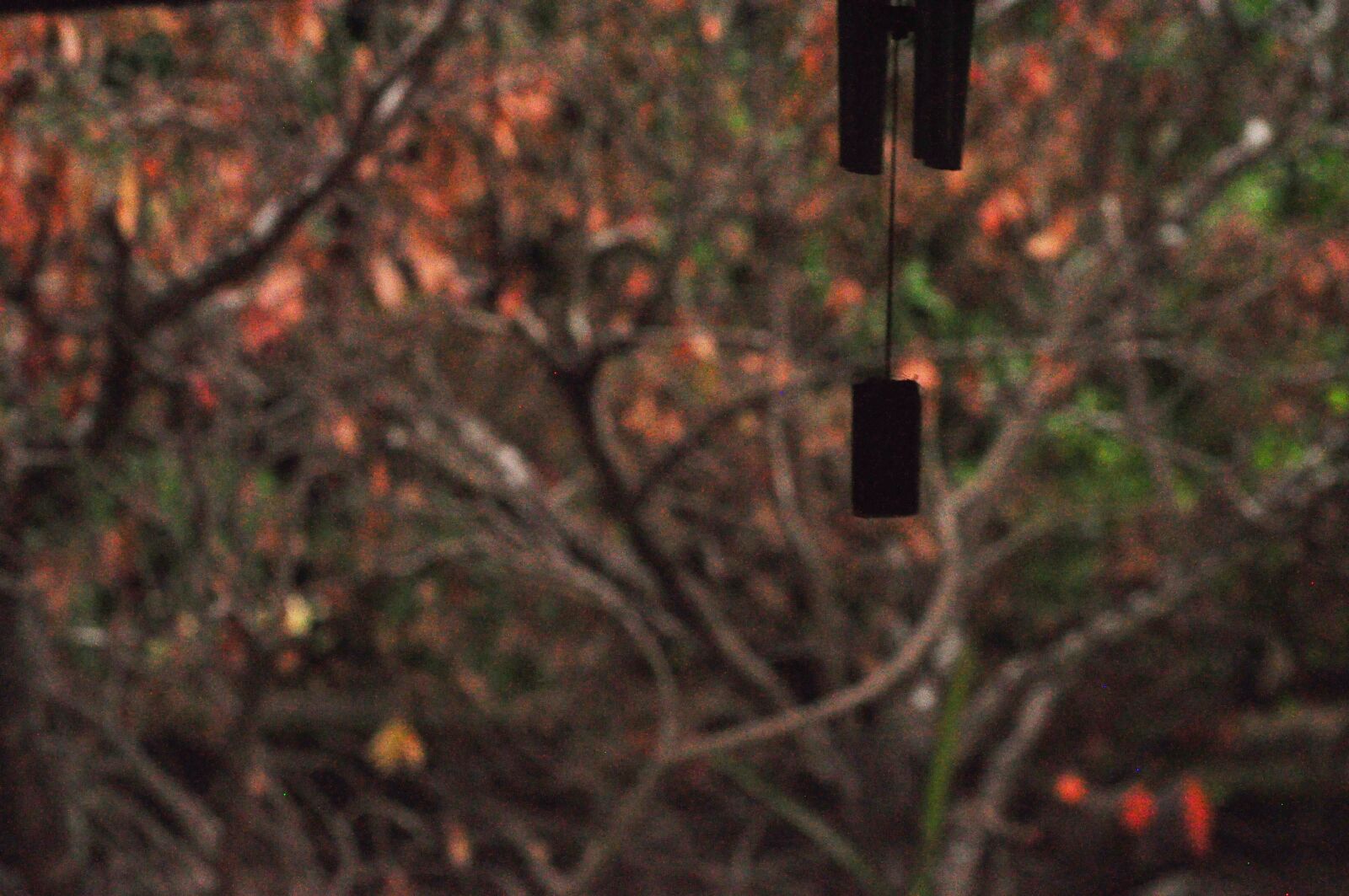 Nikon D90 sample photo. Windchime, tree, nature photography