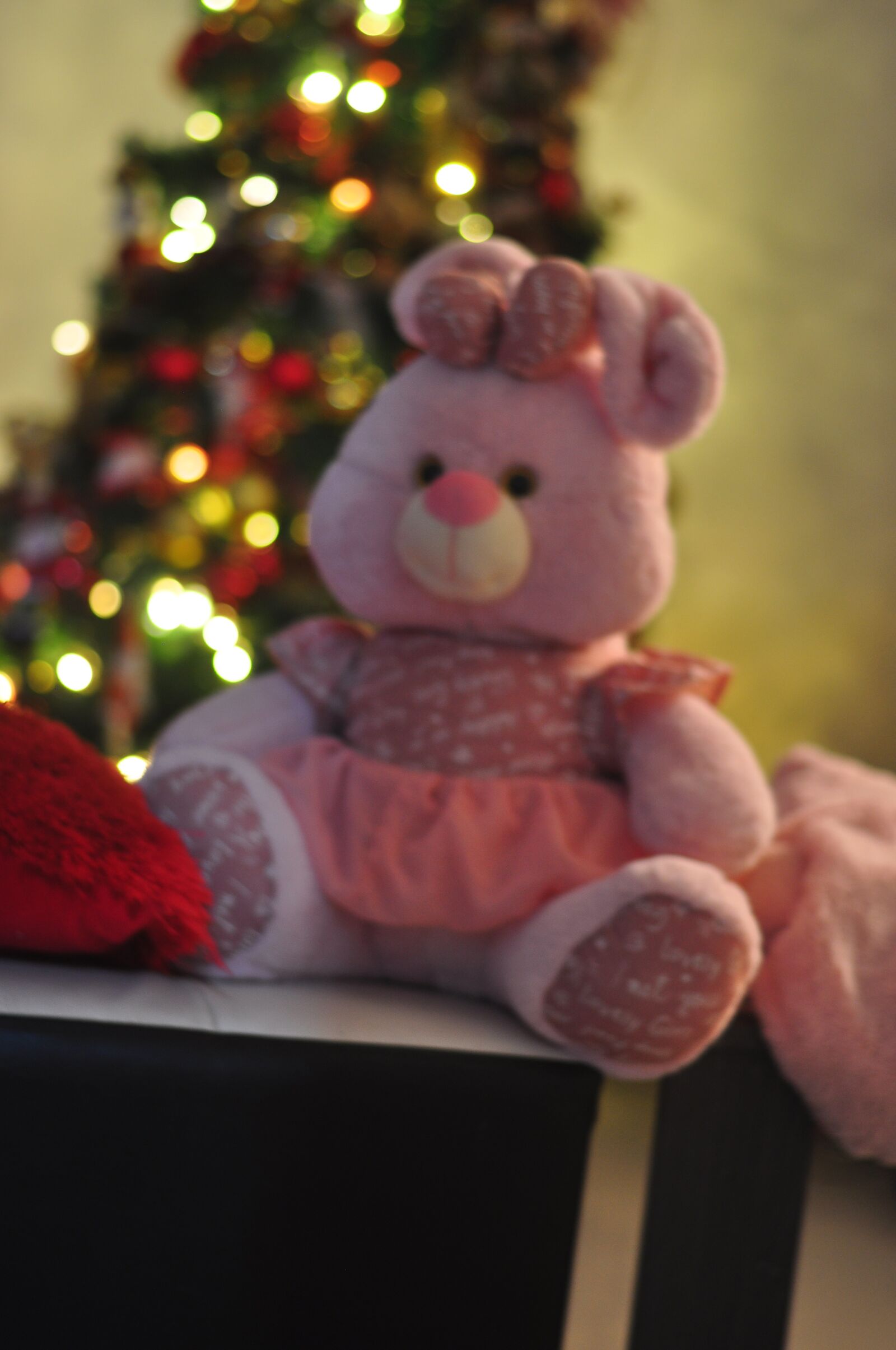 Nikon D5000 sample photo. Rabbyt, cristmast, white photography