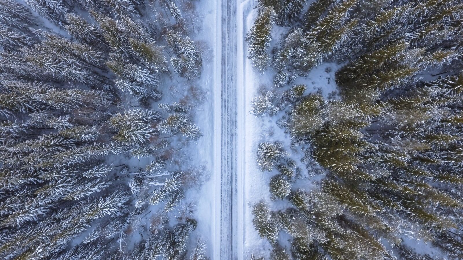DJI FC330 sample photo. Forest, road, above photography
