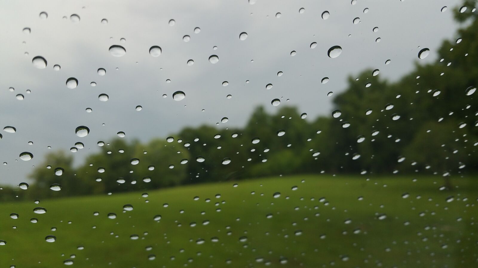 Samsung Galaxy Note4 sample photo. Rain, drops, weather photography