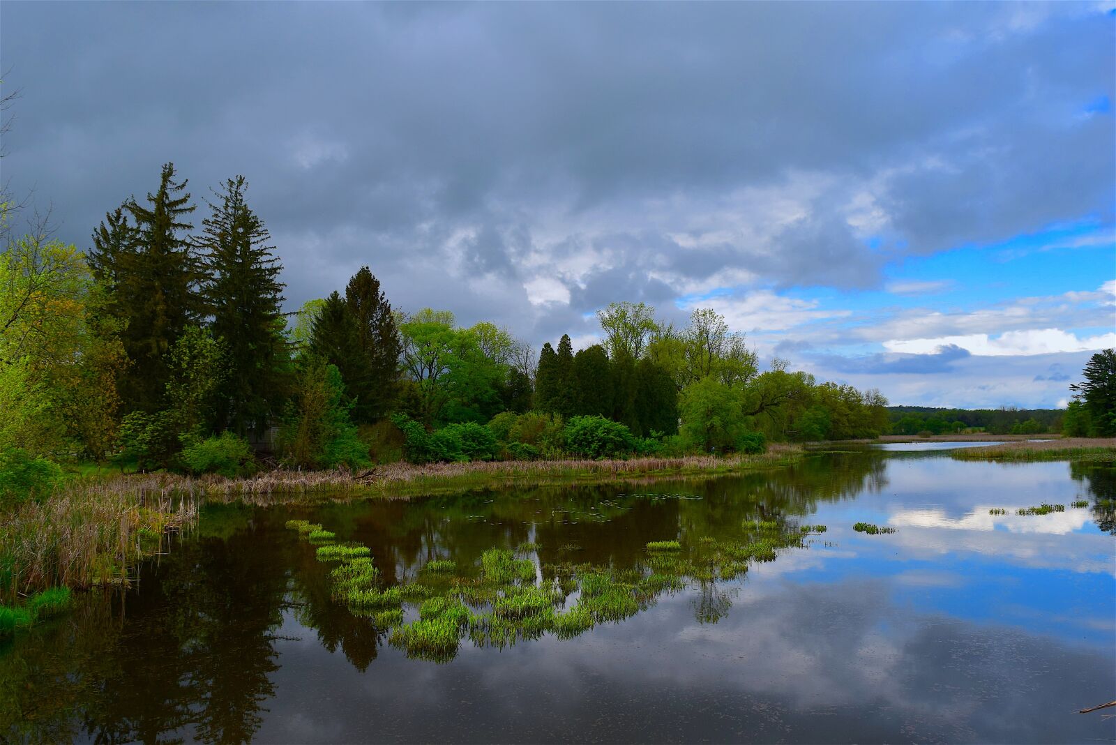 Nikon D3300 sample photo. Lake, trees, sky photography