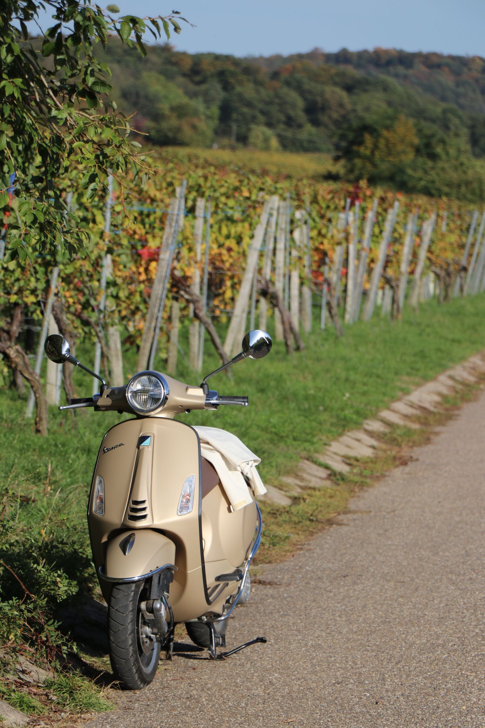 Canon EF-S 18-135mm F3.5-5.6 IS USM sample photo. Autumn, vineyards, vespa photography