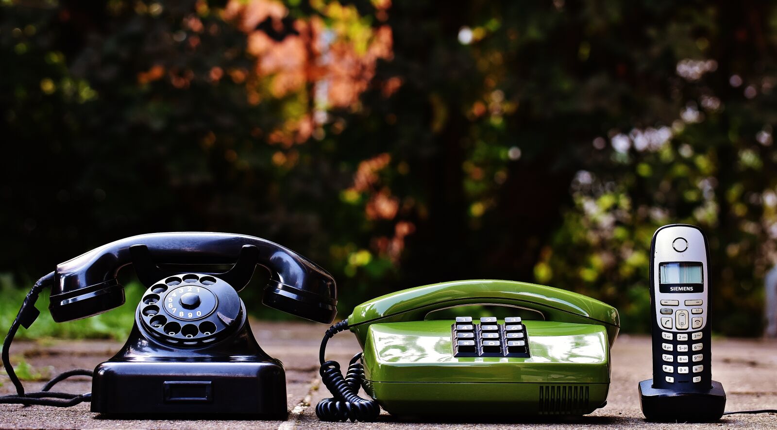 Nikon D7200 sample photo. Phone, models, generations photography