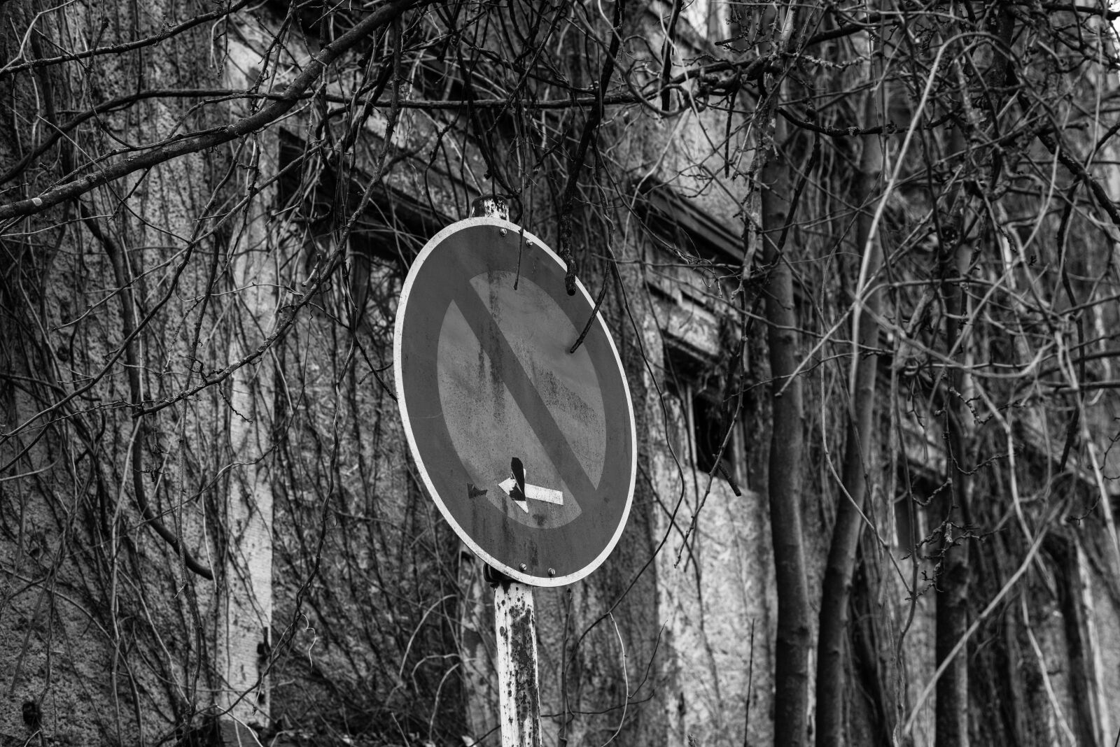 Nikon D810 sample photo. Black and white, black photography