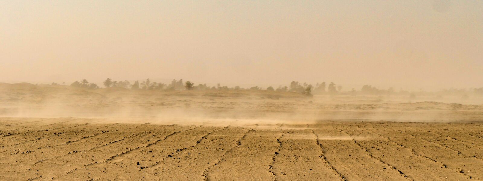 Panasonic Lumix DMC-GX8 sample photo. Sandstorm, desert, sand photography
