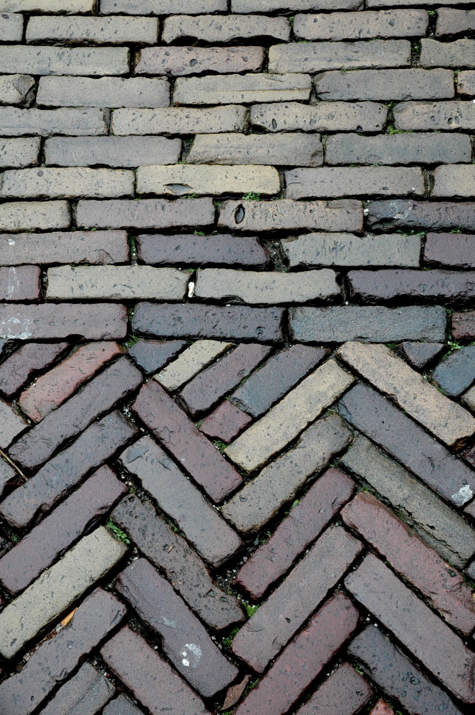 Nikon D70 sample photo. Road, paved road, historic photography