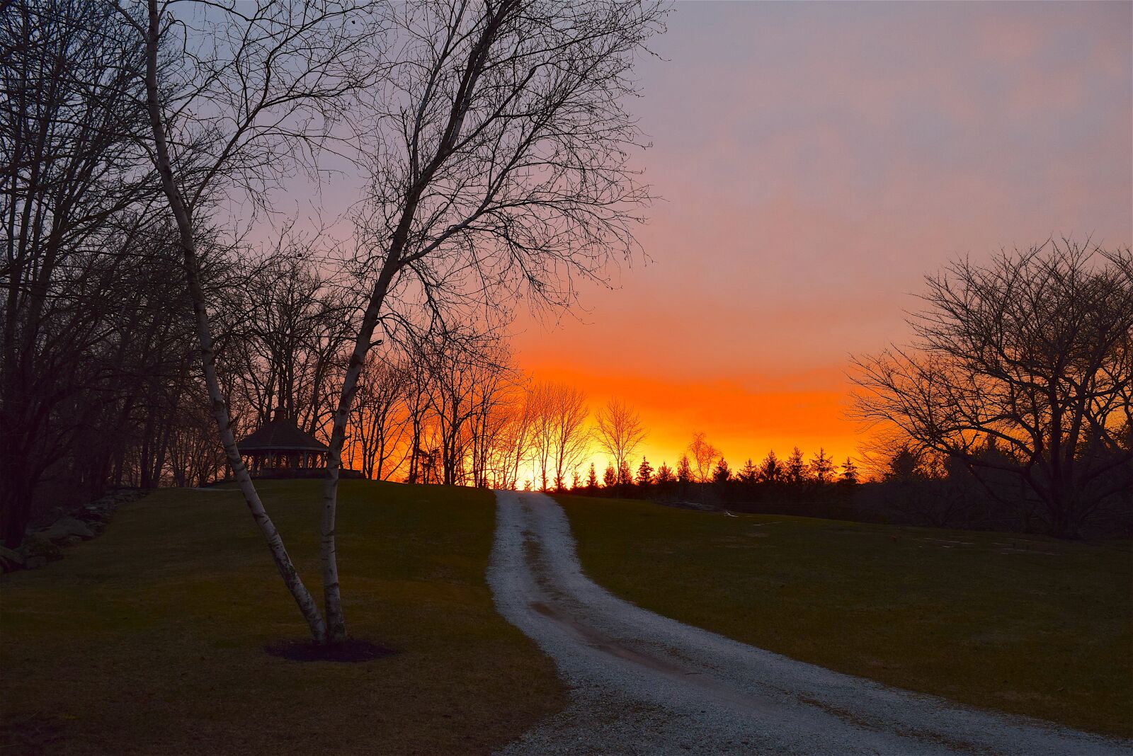 Nikon D3300 sample photo. Sunset, park, nature photography