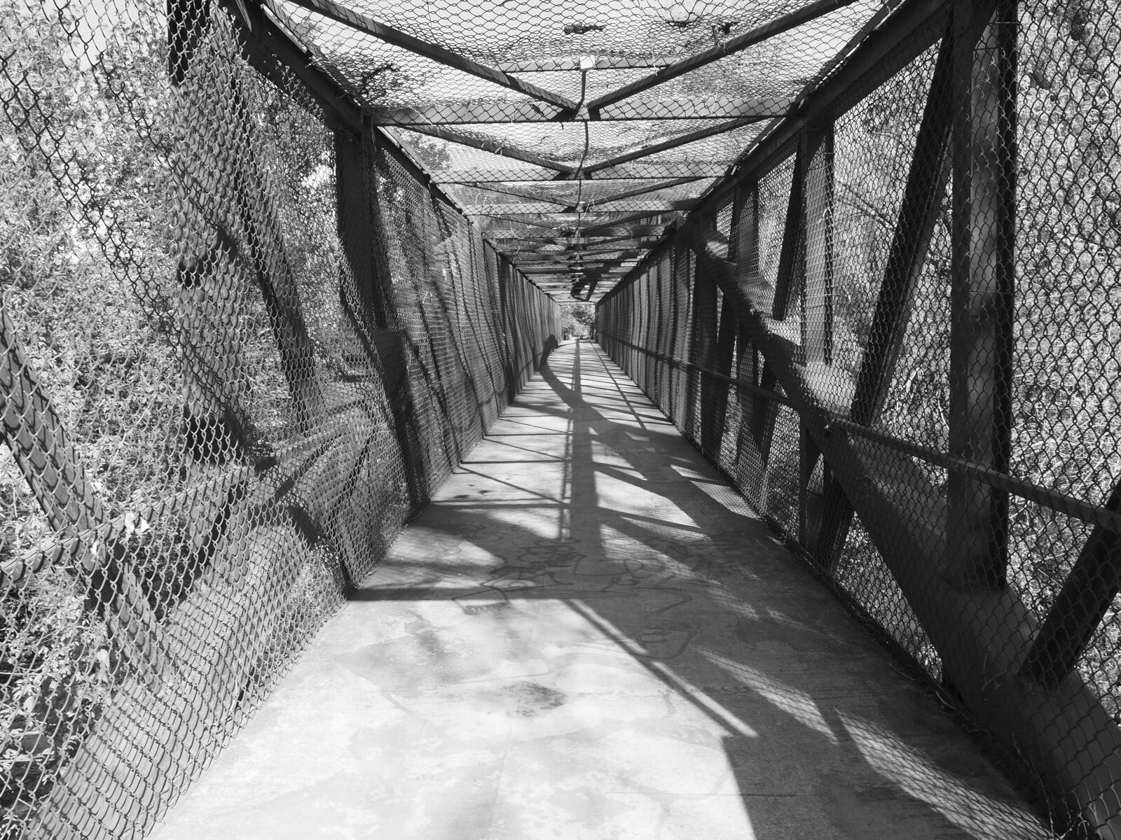 Olympus OM-D E-M10 II sample photo. Black and white bridge photography