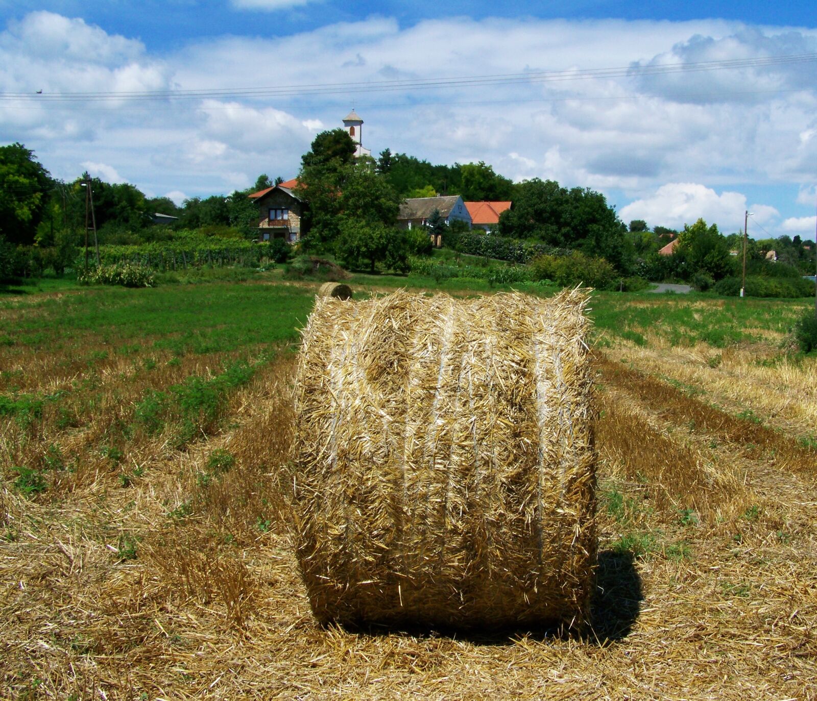 Kodak EASYSHARE ZD710 ZOOM DIGITAL CAMERA sample photo. Straw bale, agriculture, rural photography