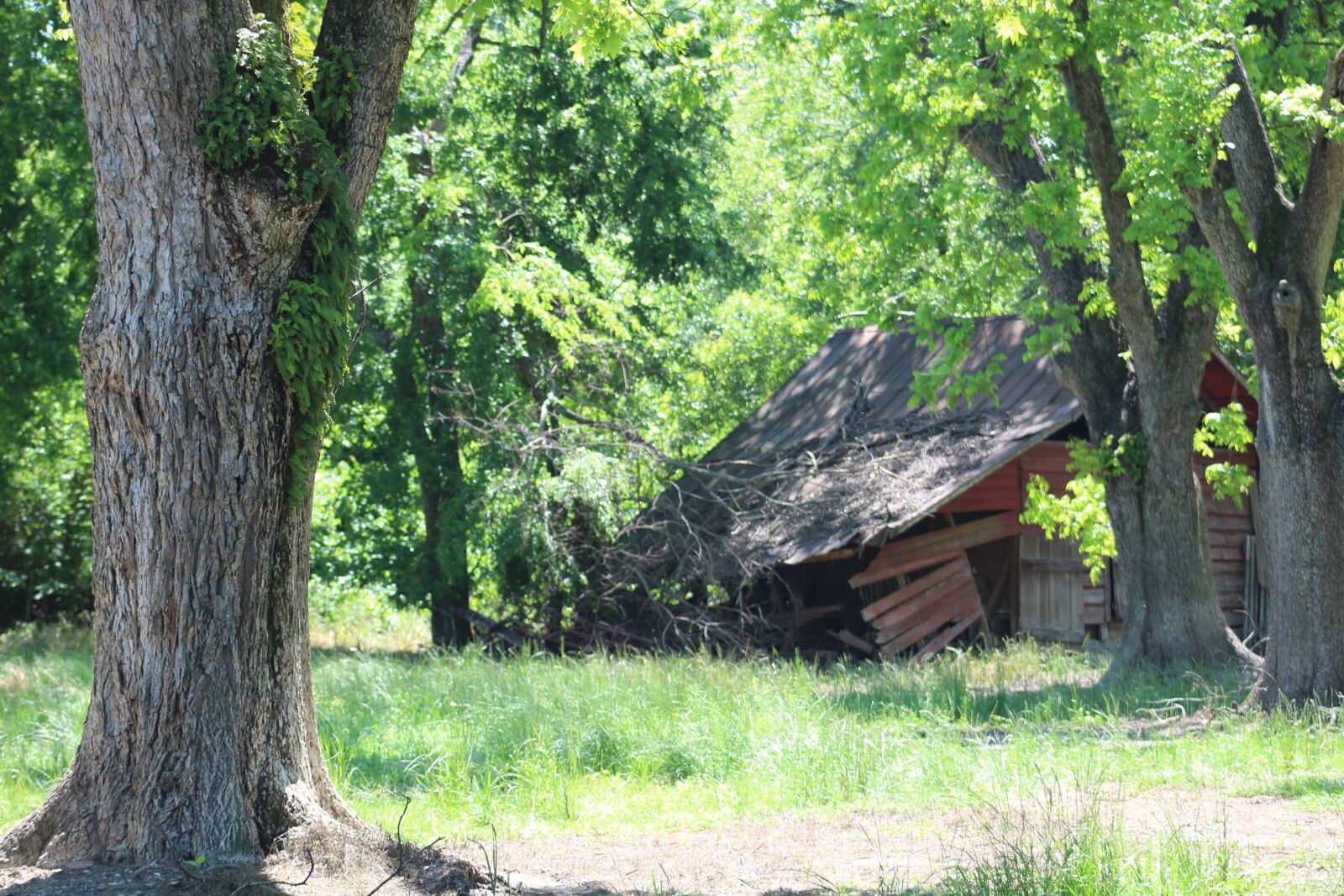 Canon EF75-300mm f/4-5.6 sample photo. Barn, abandoned, farm photography