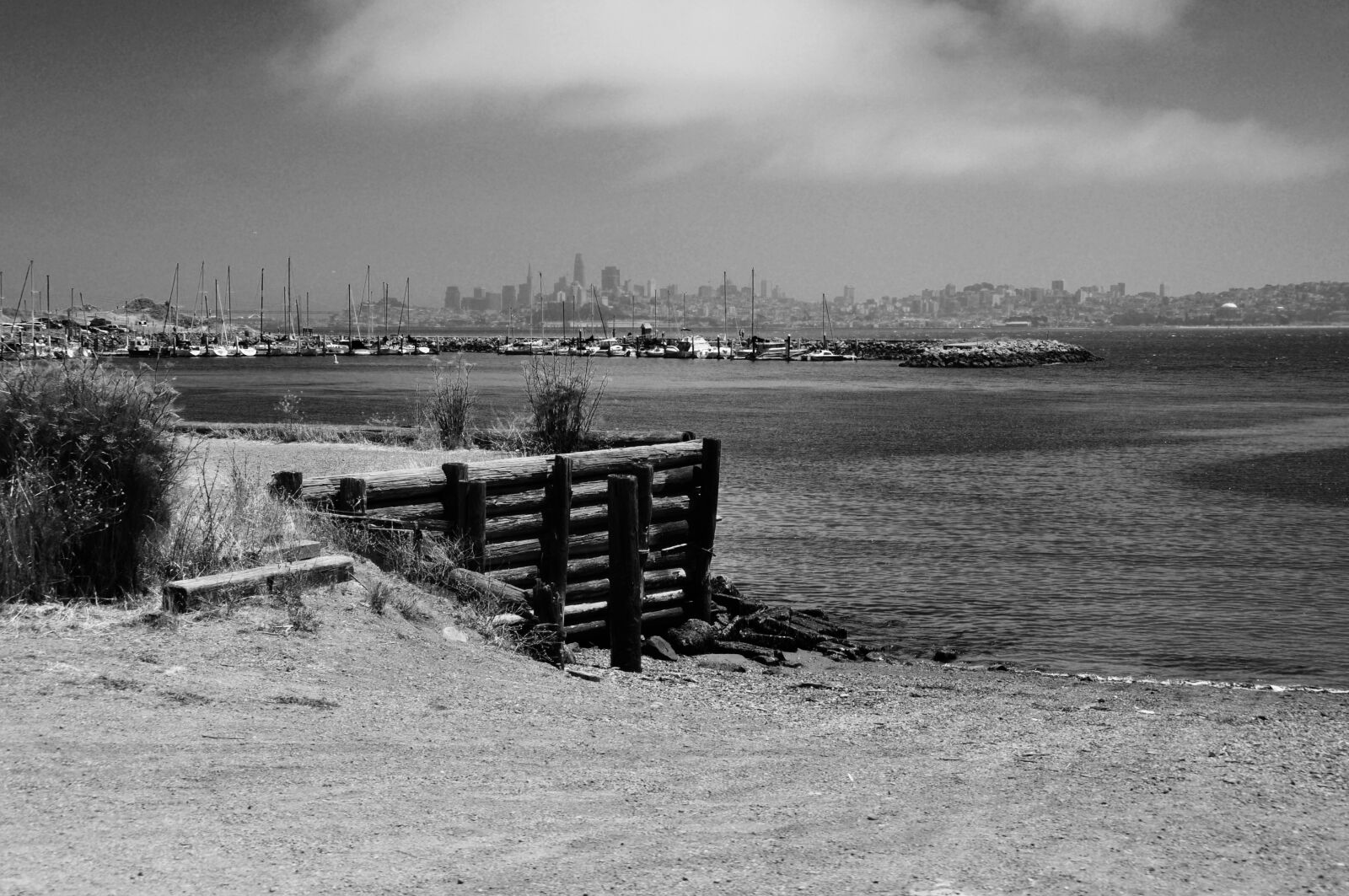 Nikon D5000 sample photo. San francisco, sitting on photography