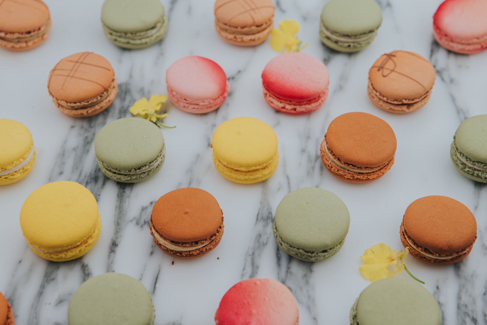 Canon EOS-1D X + Canon EF 24-70mm F2.8L USM sample photo. Macaron, french, patisserie photography