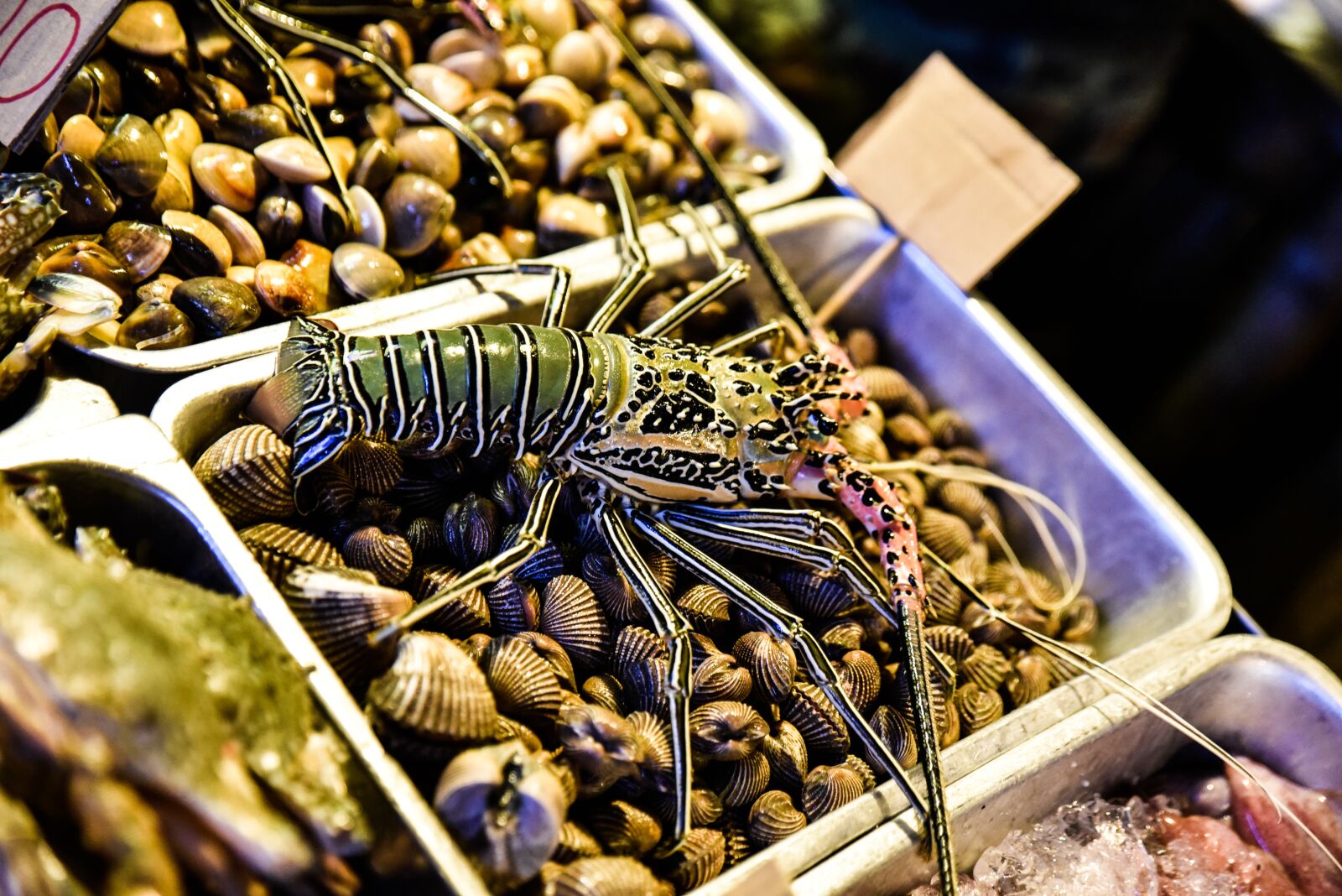 Nikon D750 sample photo. Seafood, thailand, food photography