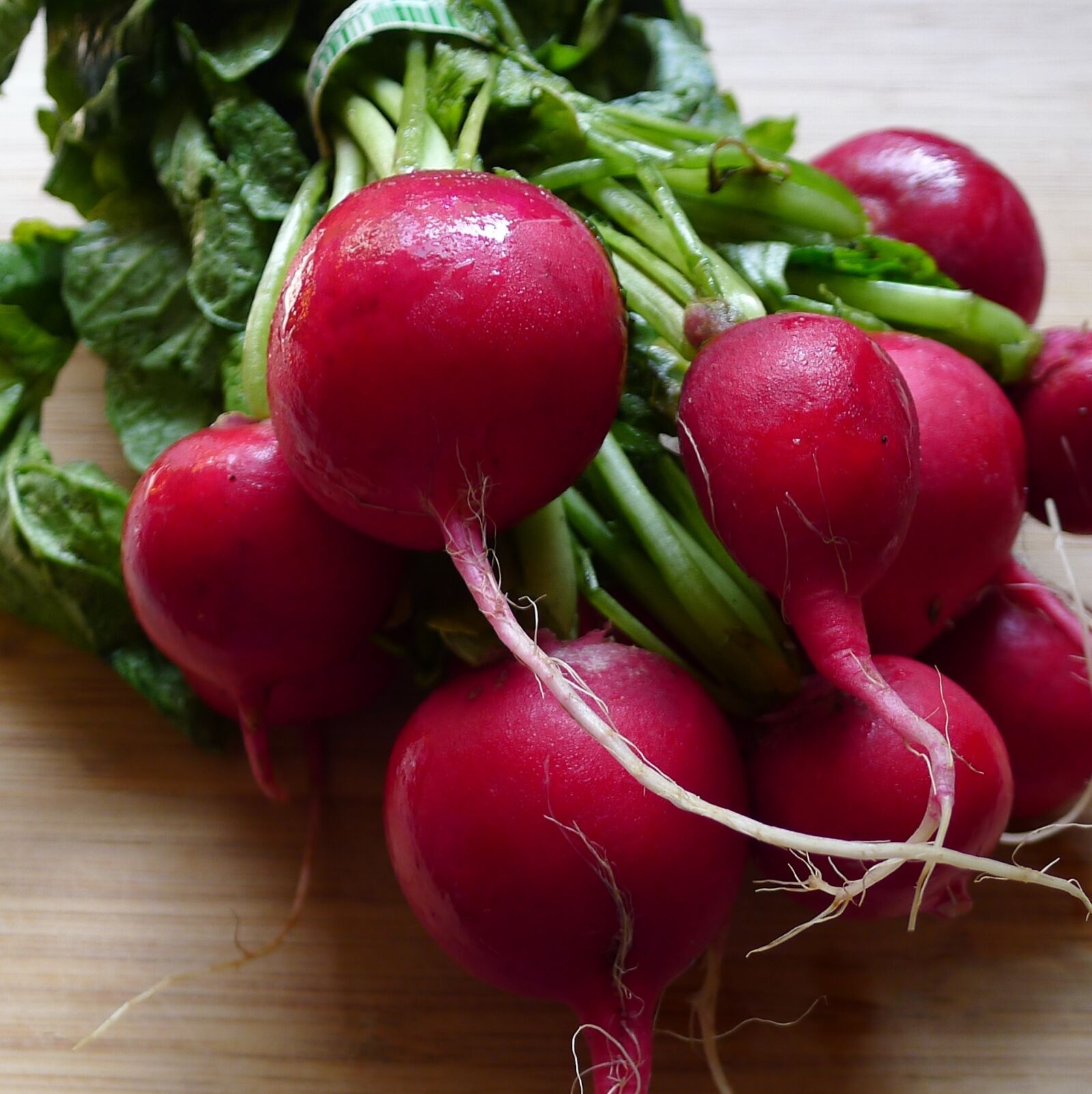 Panasonic Lumix DMC-LX5 sample photo. Radish, radishes, vegetable photography
