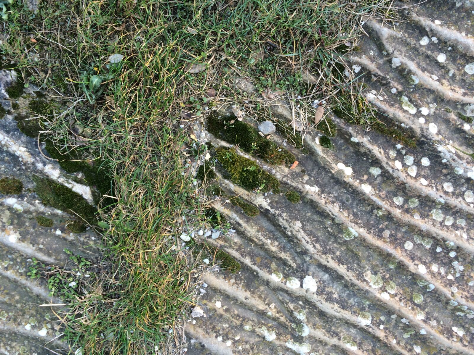 iPhone 5s back camera 4.15mm f/2.2 sample photo. Texture, stone, pavement photography