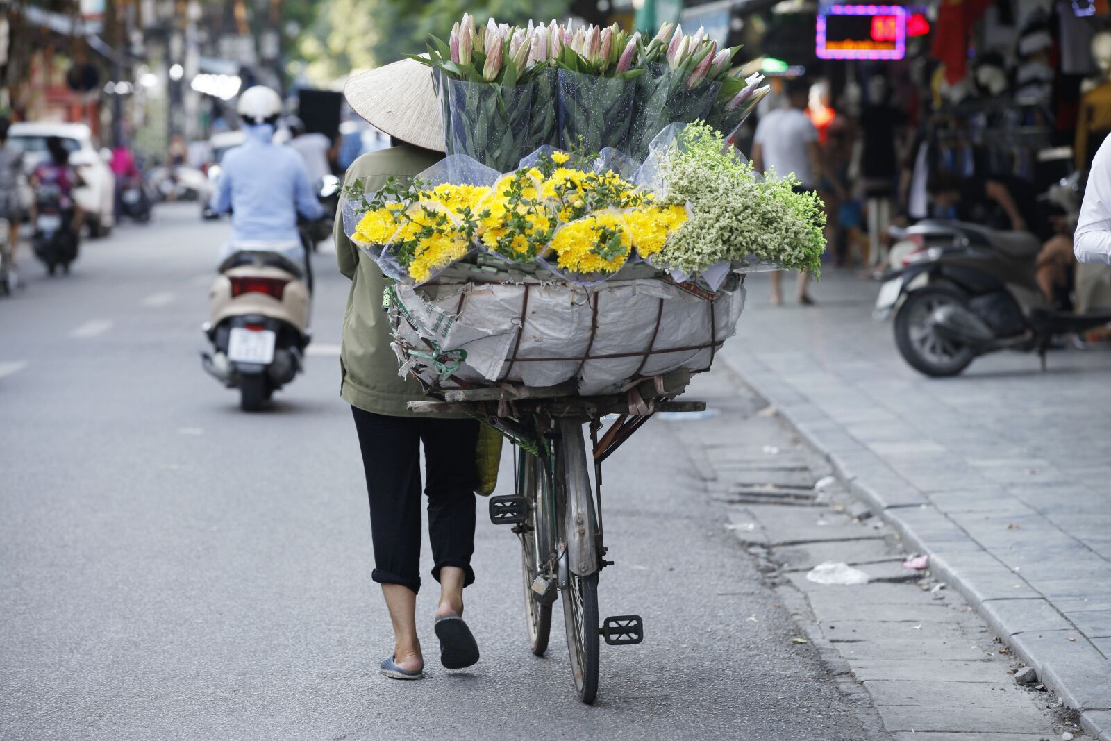 Canon EOS 5D Mark II sample photo. Hanoi capital, hanoi flower photography