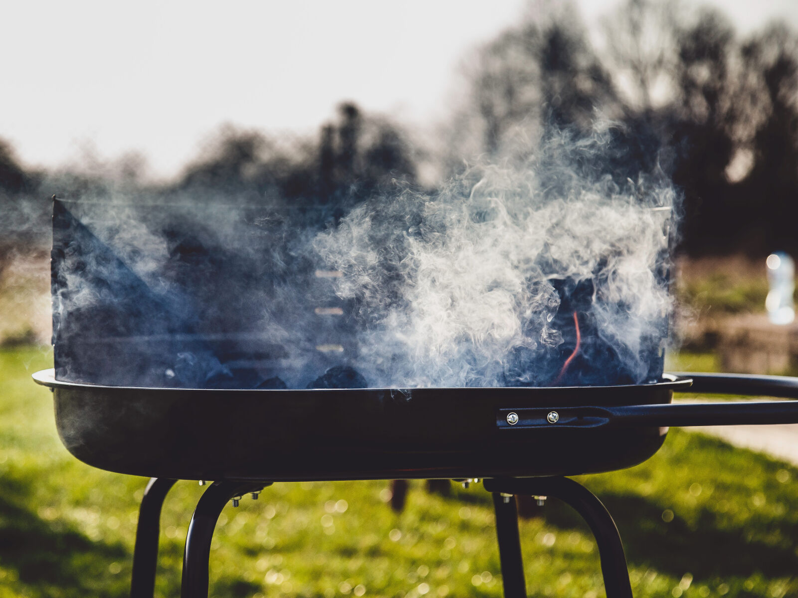 Canon EF 24-105mm F4L IS USM sample photo. Bbq, grill, hot, season photography
