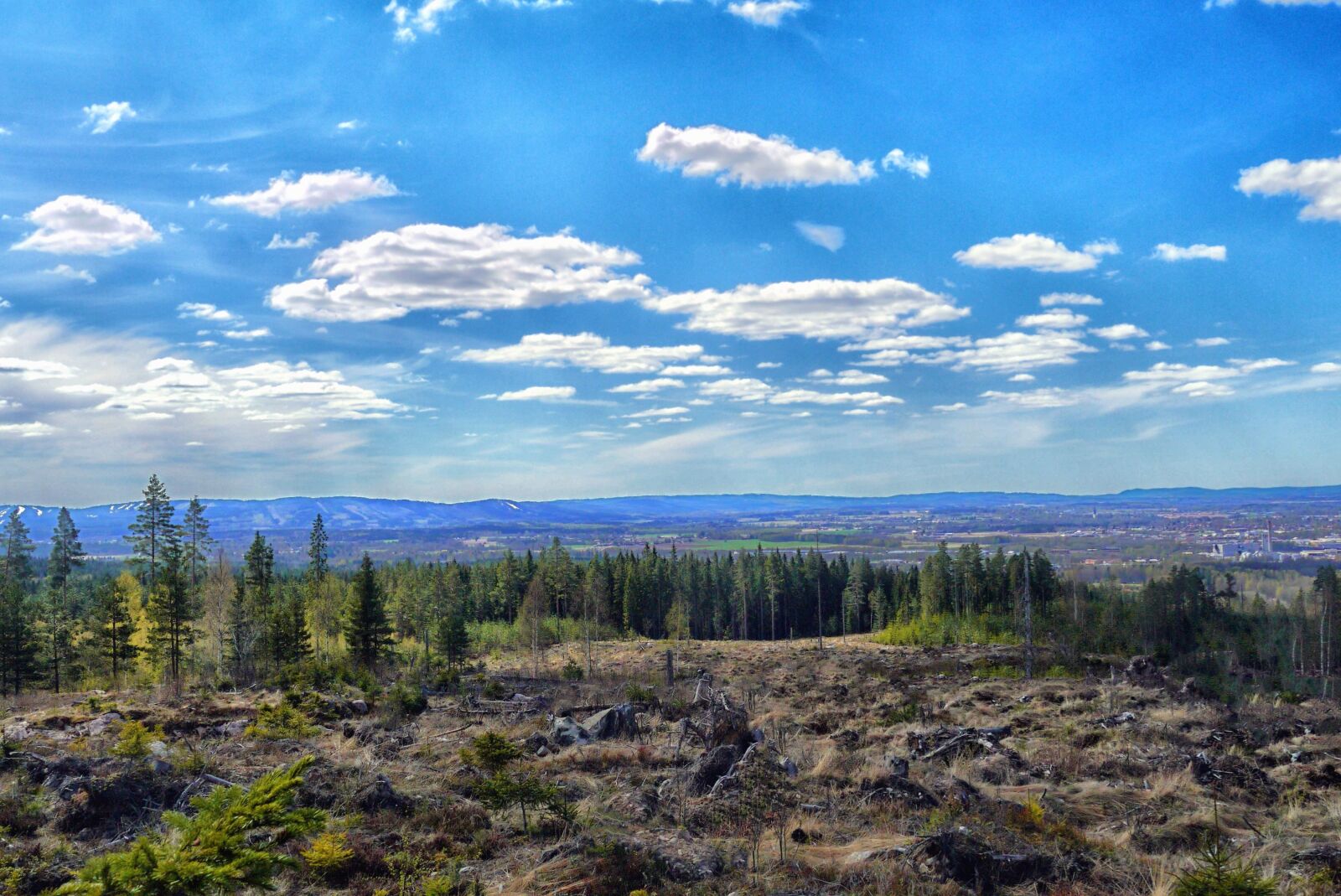 Panasonic Lumix DMC-GF5 sample photo. Forest, sky, rocks, landscape photography