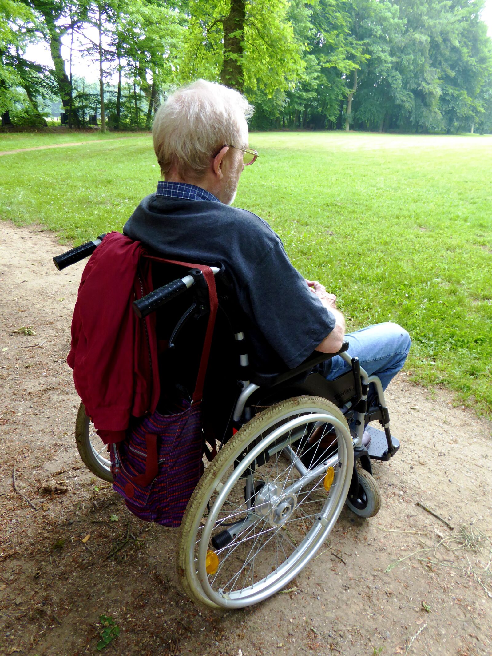 Panasonic DMC-TZ61 sample photo. Old man, senior, wheelchair photography