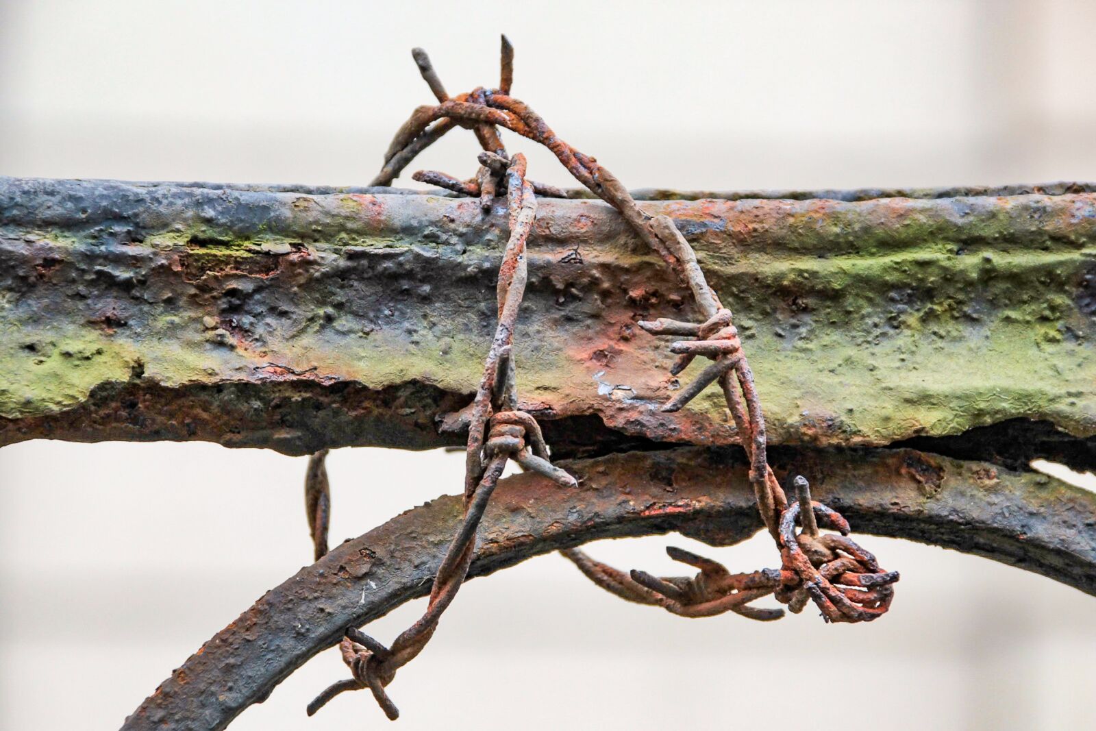 Canon EOS 60D sample photo. Rusty, iron, structure photography