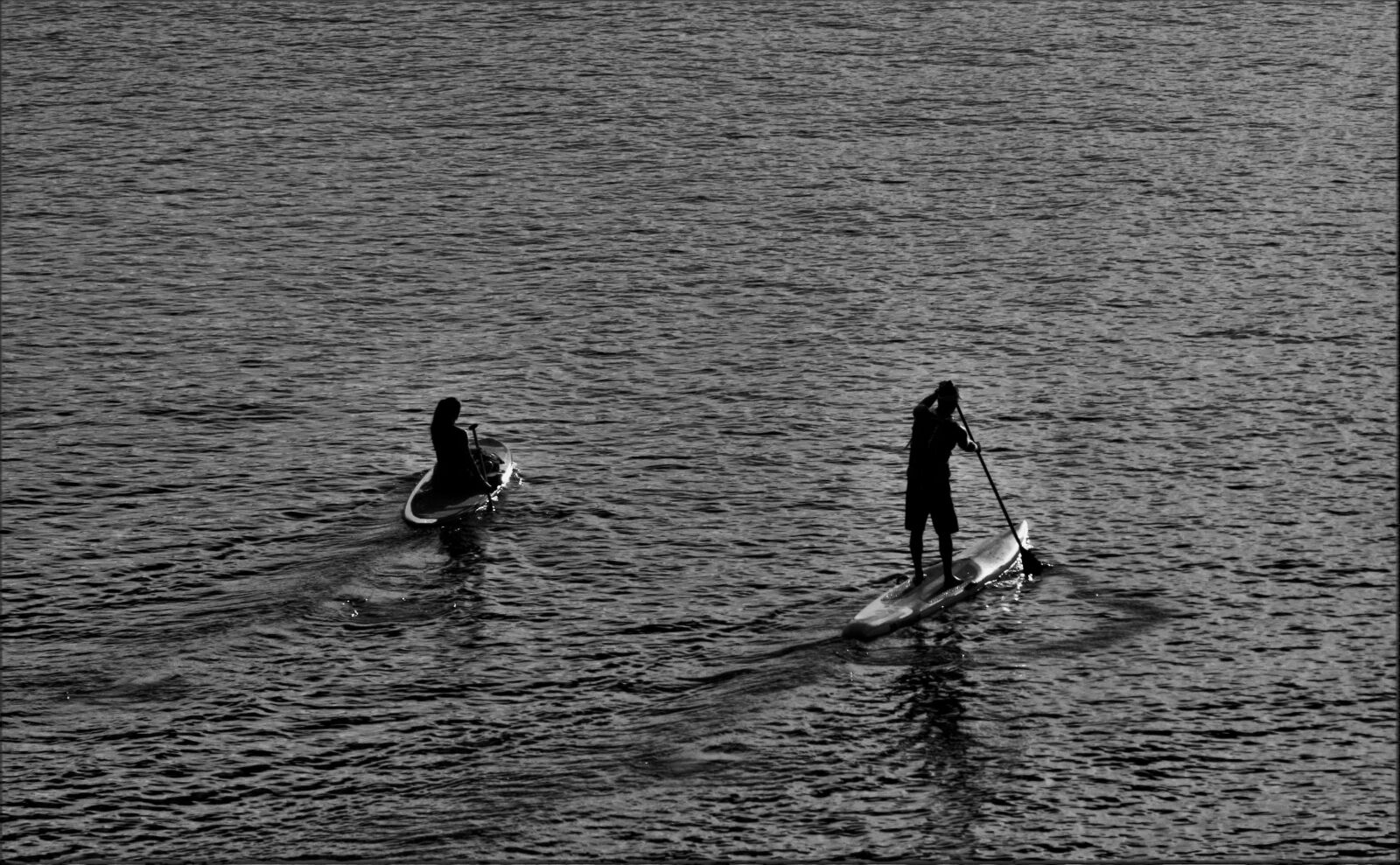 Canon EOS 100D (EOS Rebel SL1 / EOS Kiss X7) sample photo. Freshwater, paddleboard photography