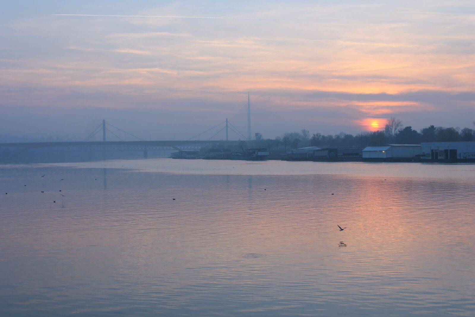 Canon EOS 1100D (EOS Rebel T3 / EOS Kiss X50) sample photo. Belgrade, bird, city, landscape photography