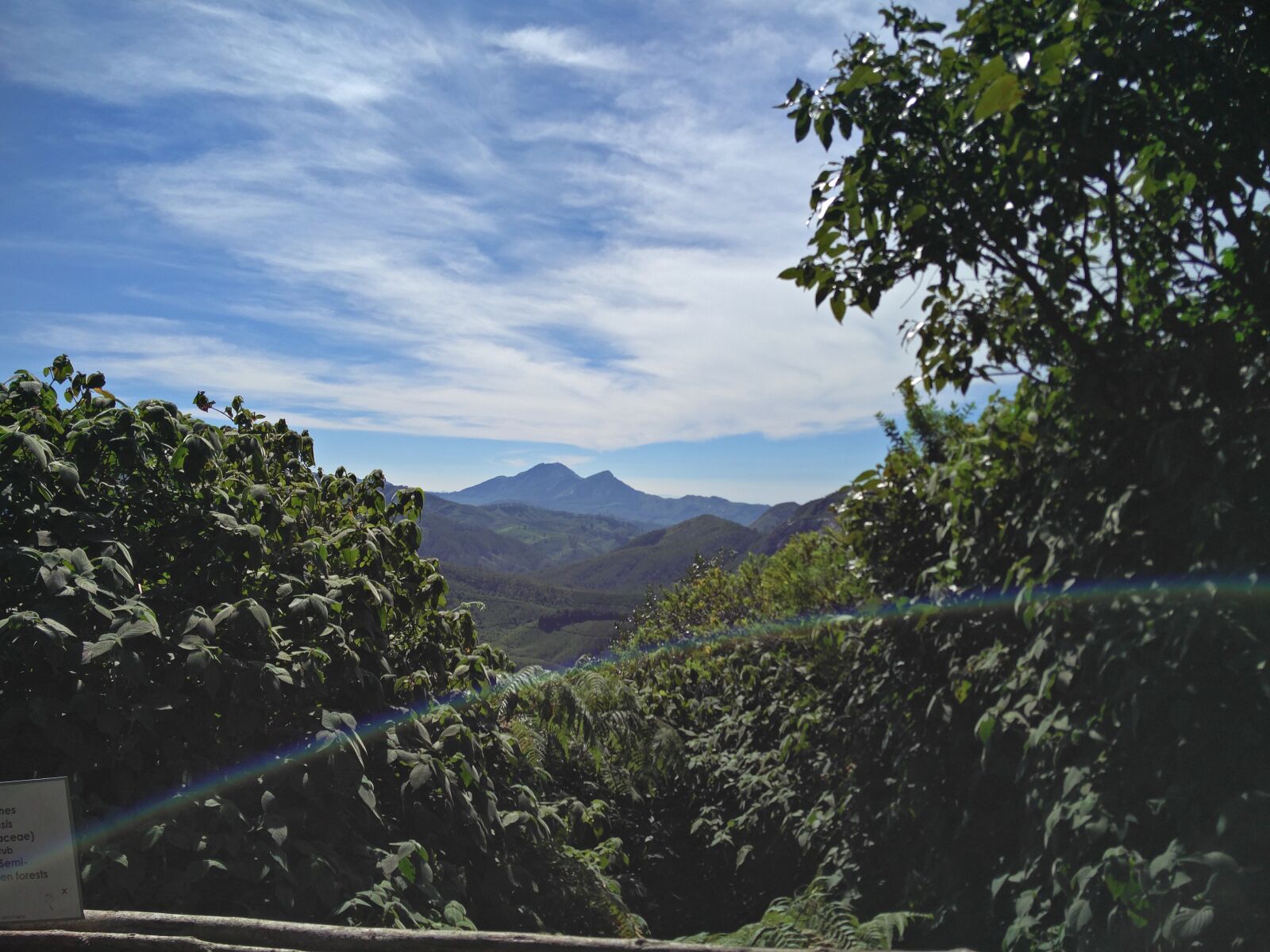 OnePlus 2 sample photo. Landscape, nature, vegetation photography