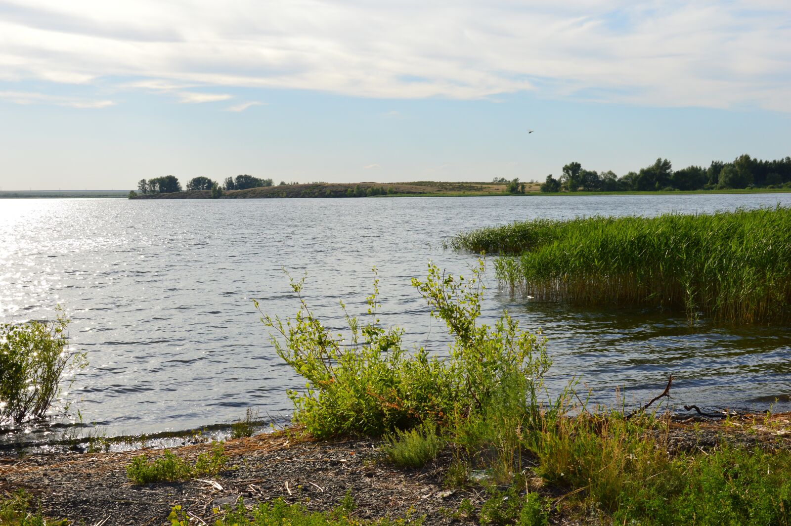 Nikon D3200 sample photo. The glare, landscape, morning photography