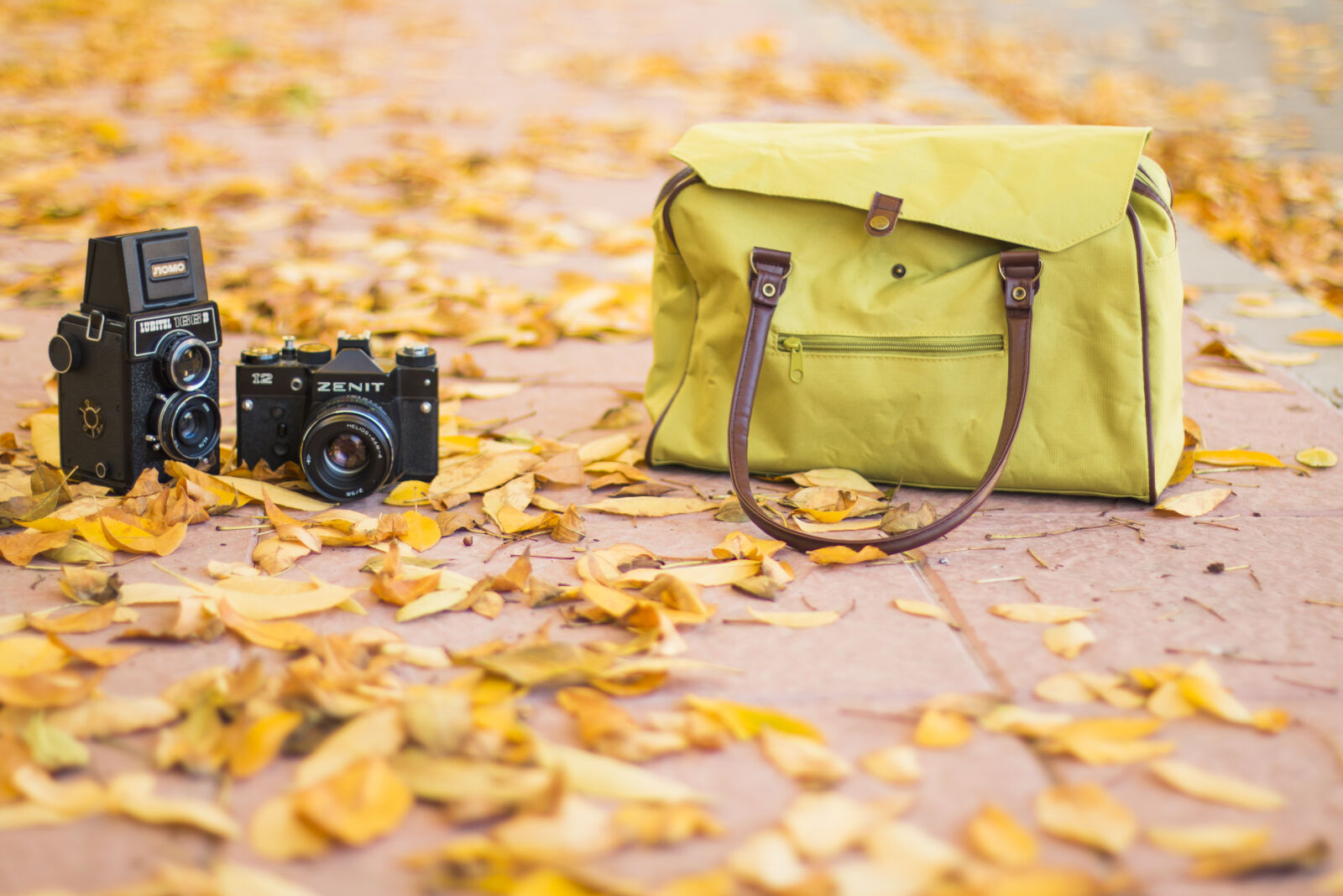 Canon EOS 70D + Canon EF 50mm F1.4 USM sample photo. Photography, vintage, autumn, fall photography