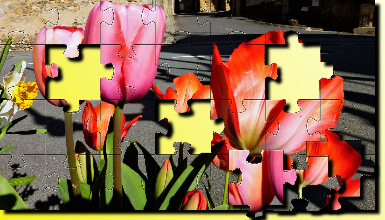 Panasonic Lumix DMC-ZS25 (Lumix DMC-TZ35) sample photo. Nature, flowers, tulips photography
