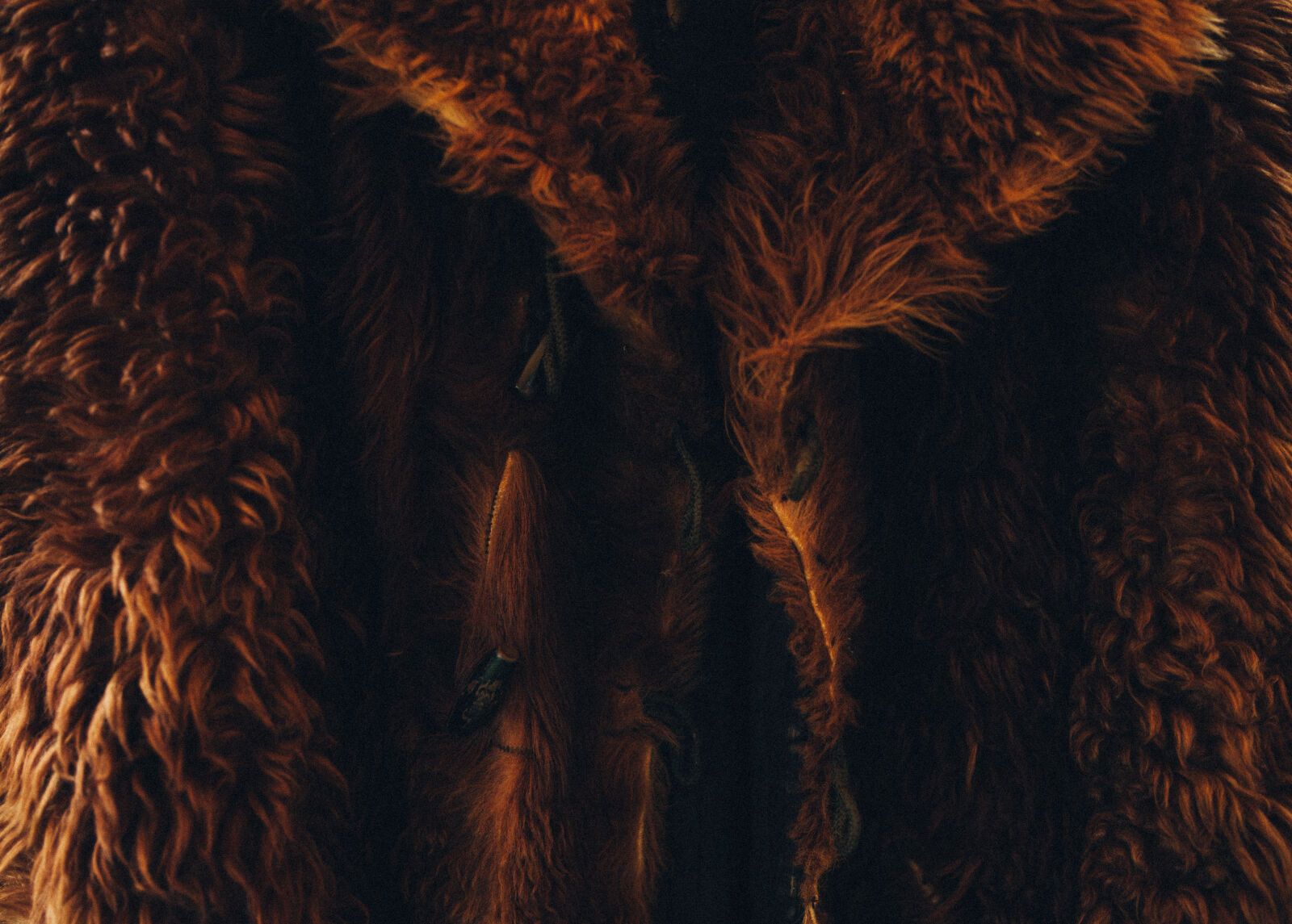 Canon EF 28-70mm f/2.8L USM sample photo. Abstract, adult, art, beautiful photography