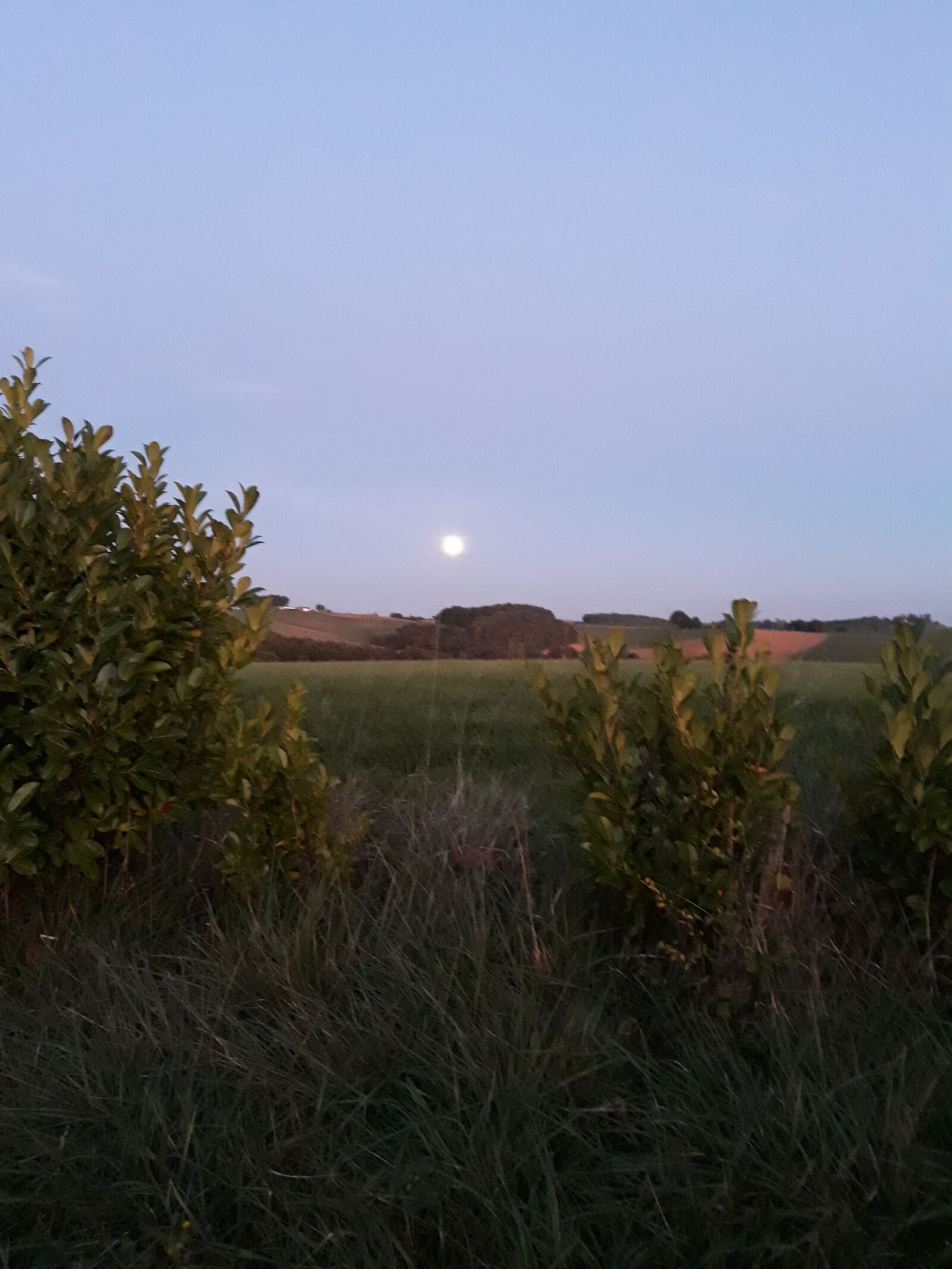 Samsung Galaxy J5 sample photo. Moon, evening, nature photography