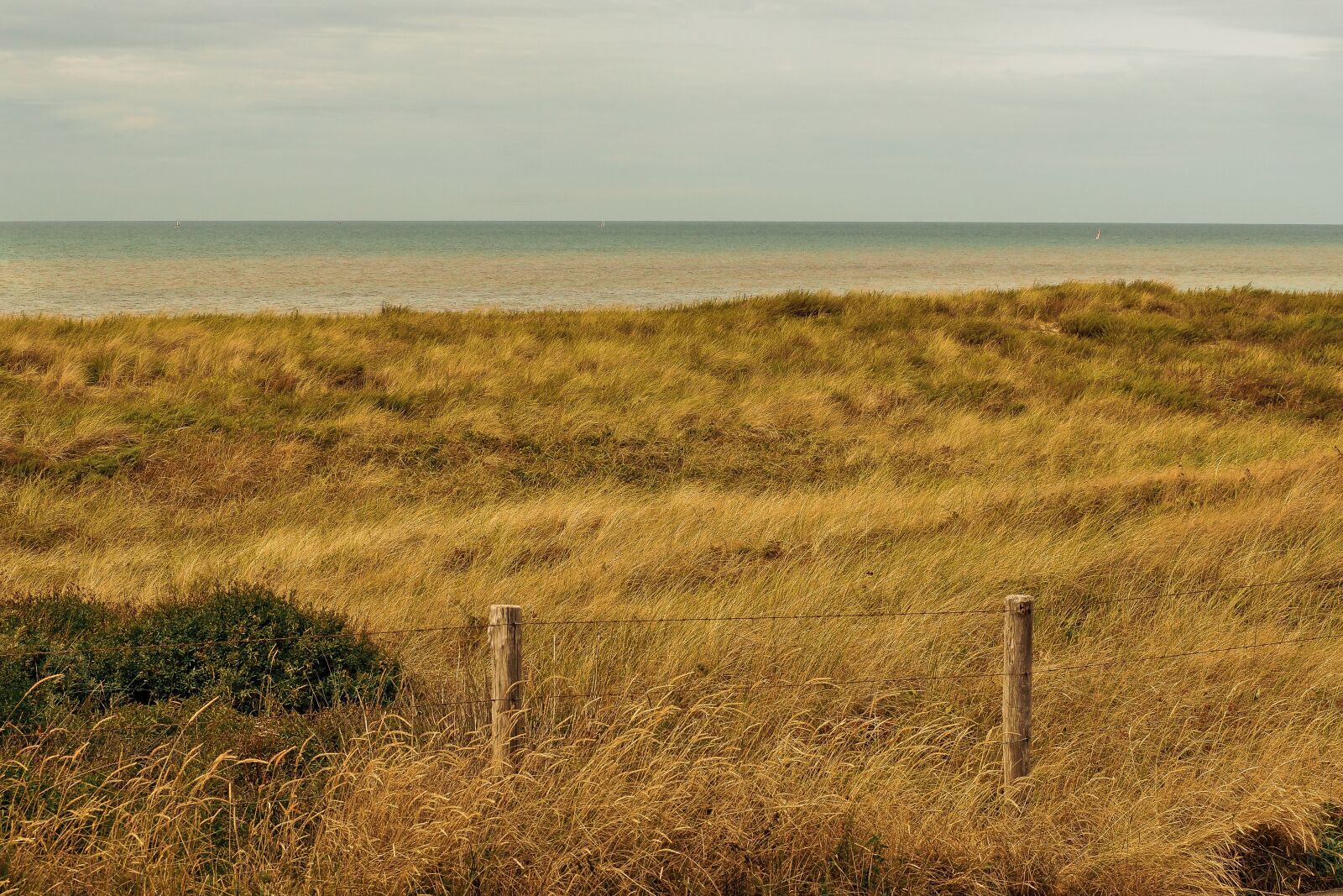 Olympus OM-D E-M10 sample photo. Beach, dune, sand photography