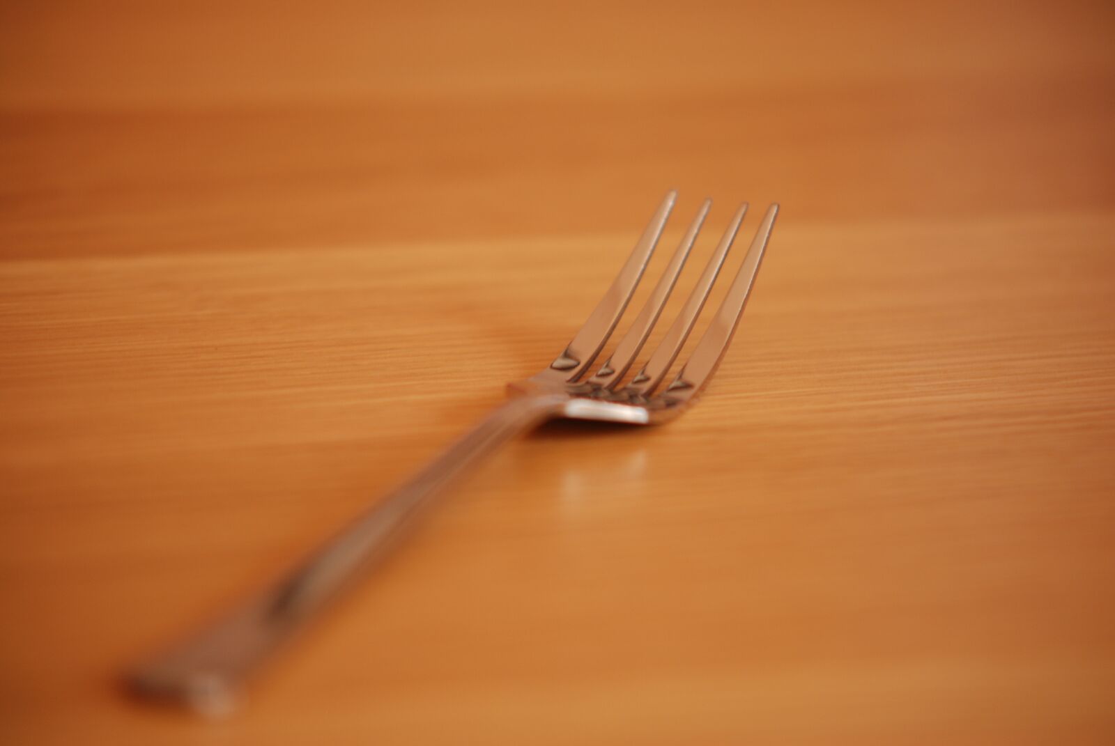 Nikon D60 sample photo. Close up, fork, focused photography