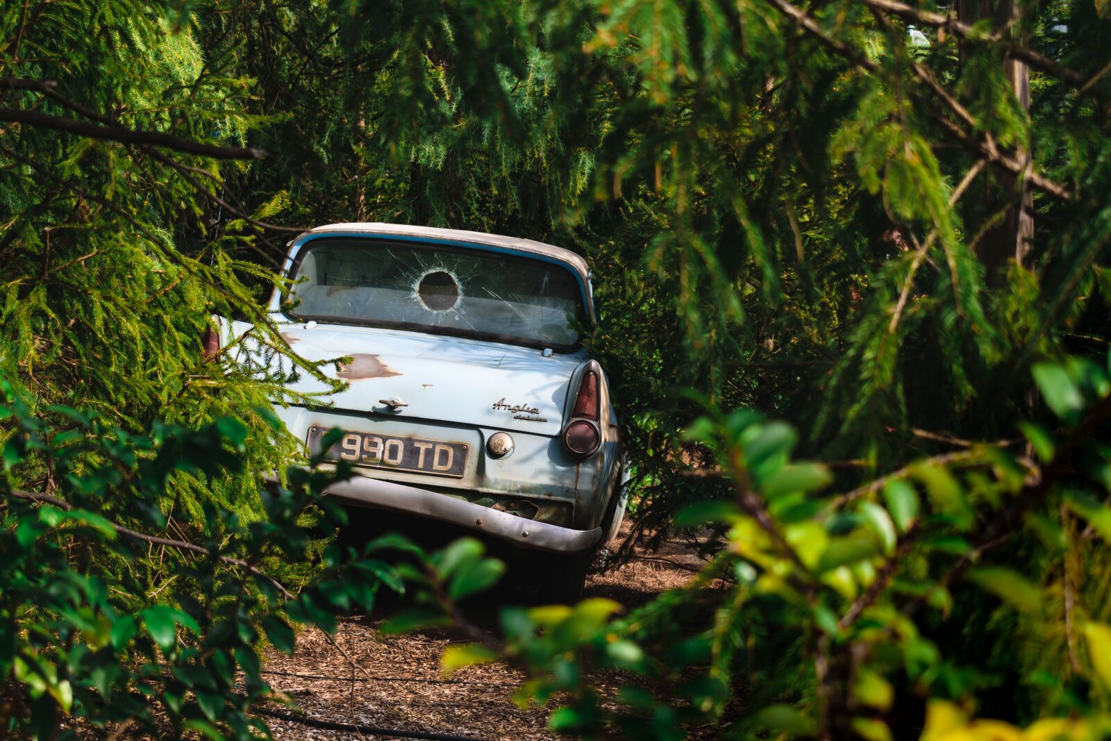 Nikon D5300 sample photo. Harry, potter, car photography
