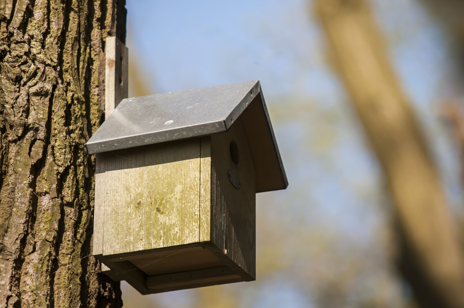 Nikon D300 sample photo. Nest box, birdhouse, forest photography