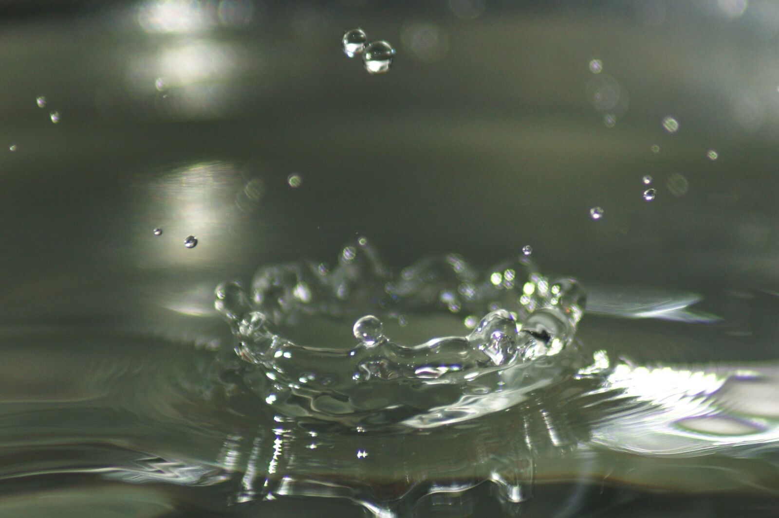Sony Alpha DSLR-A390 sample photo. Fall, drop, of photography