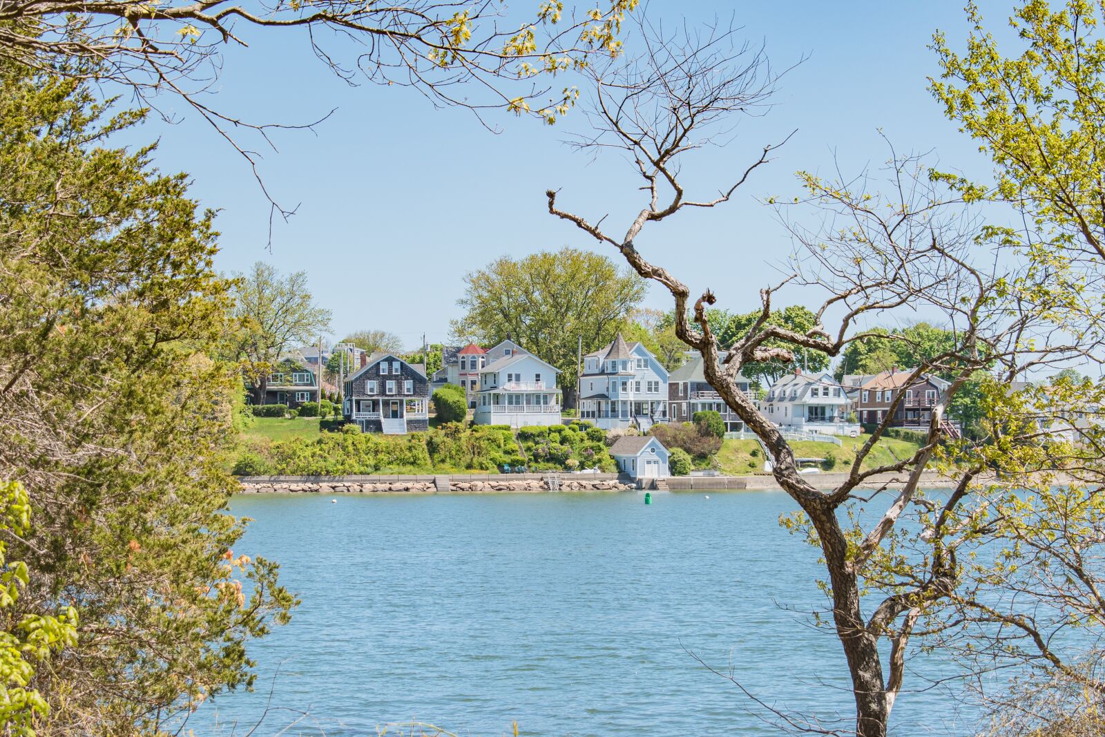 Nikon D5600 sample photo. Trees, beach, houses photography