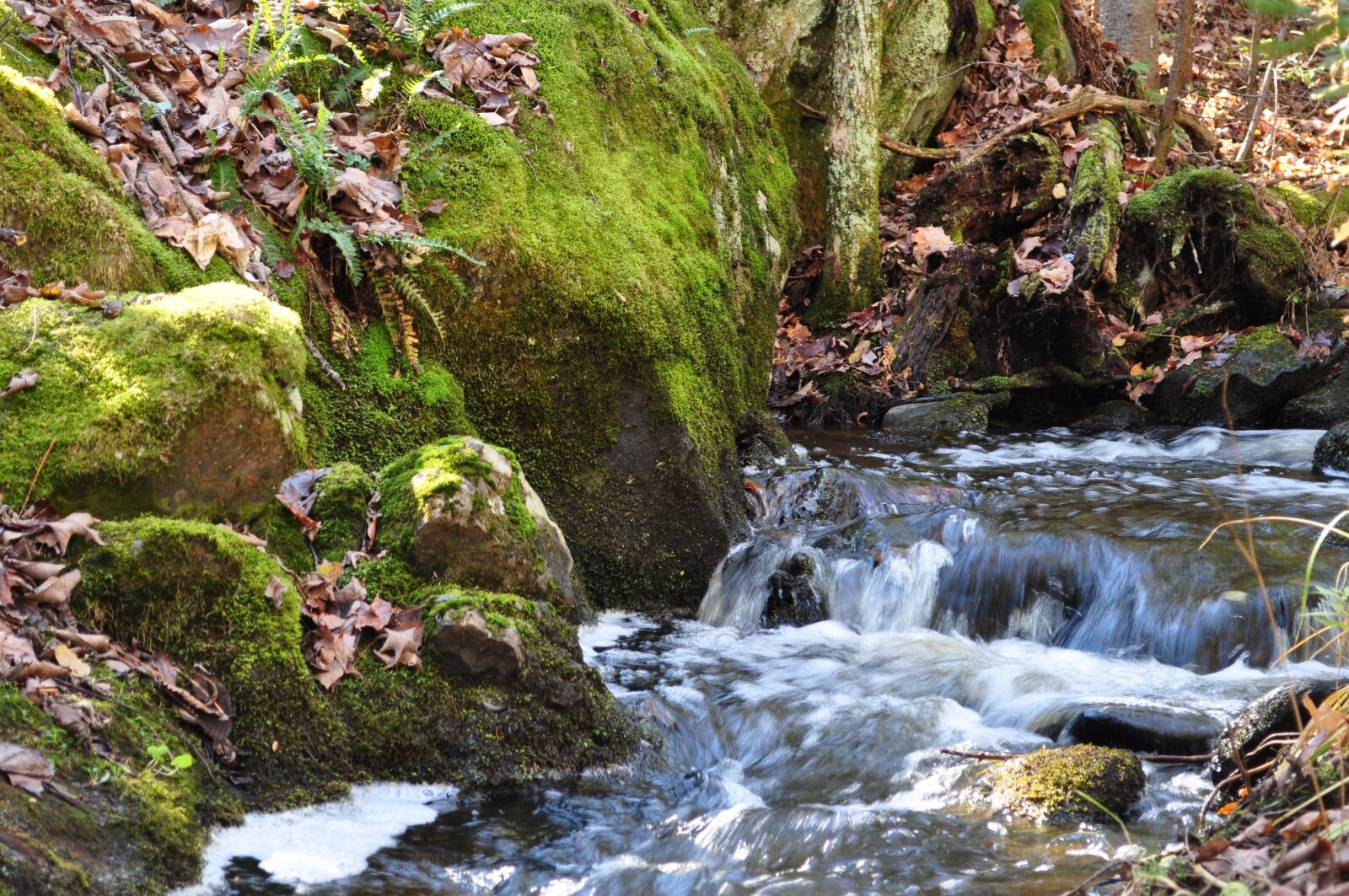 Nikon D5000 sample photo. Waterfall, brook, forest photography