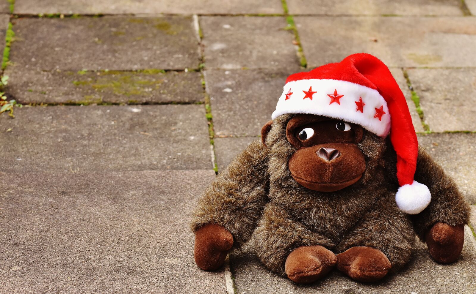 Nikon D7200 sample photo. Christmas, santa hat, stuffed photography