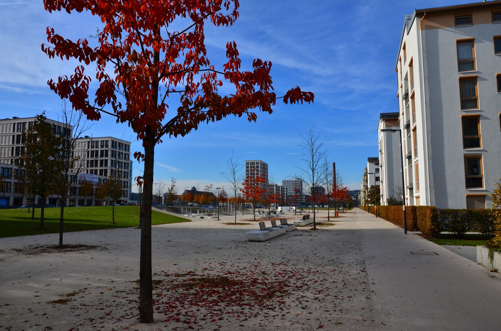 Nikon D7000 sample photo. Contrast, autumn, city photography