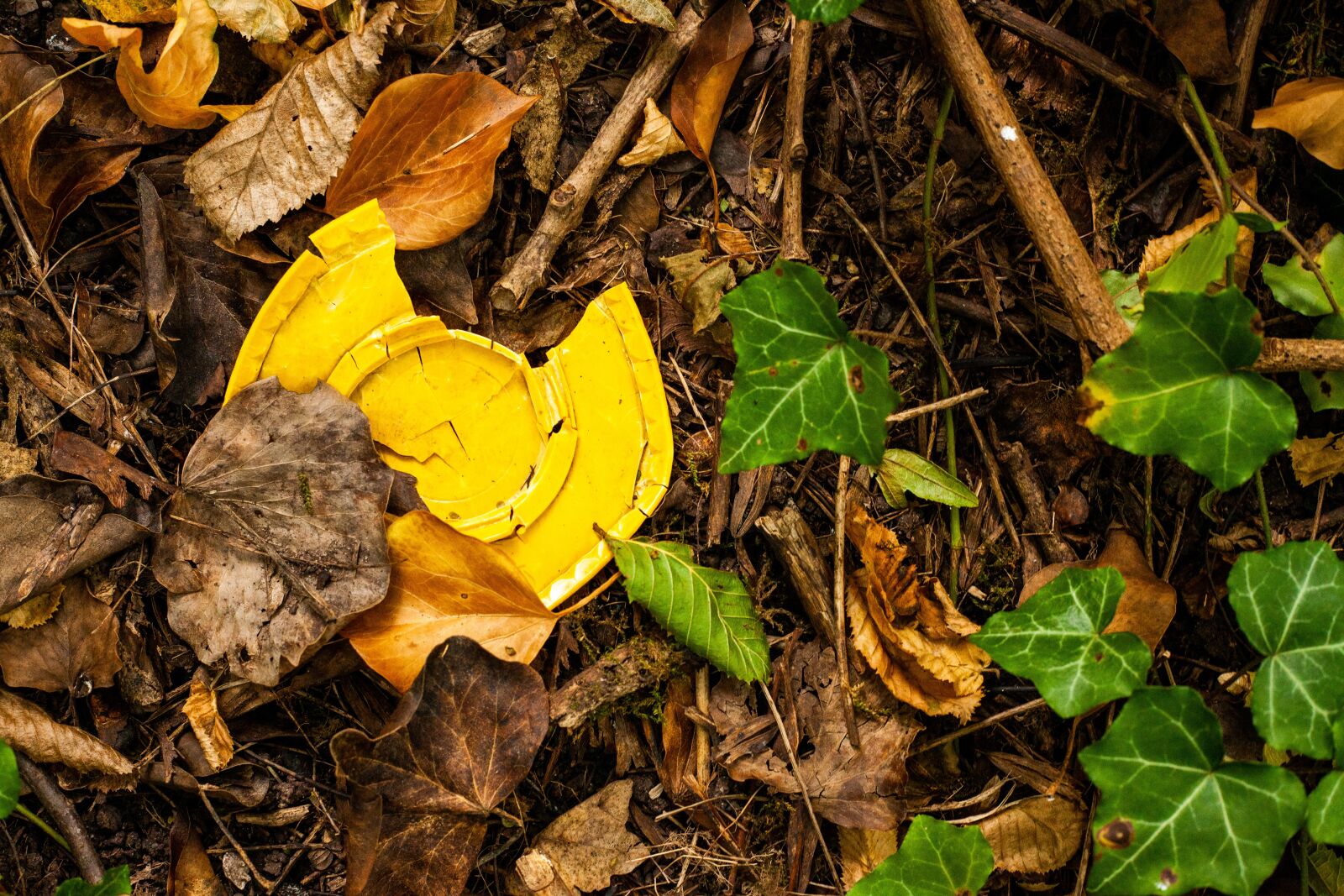Canon EF 50mm F1.8 II sample photo. Plastic, plastic cup, leaves photography