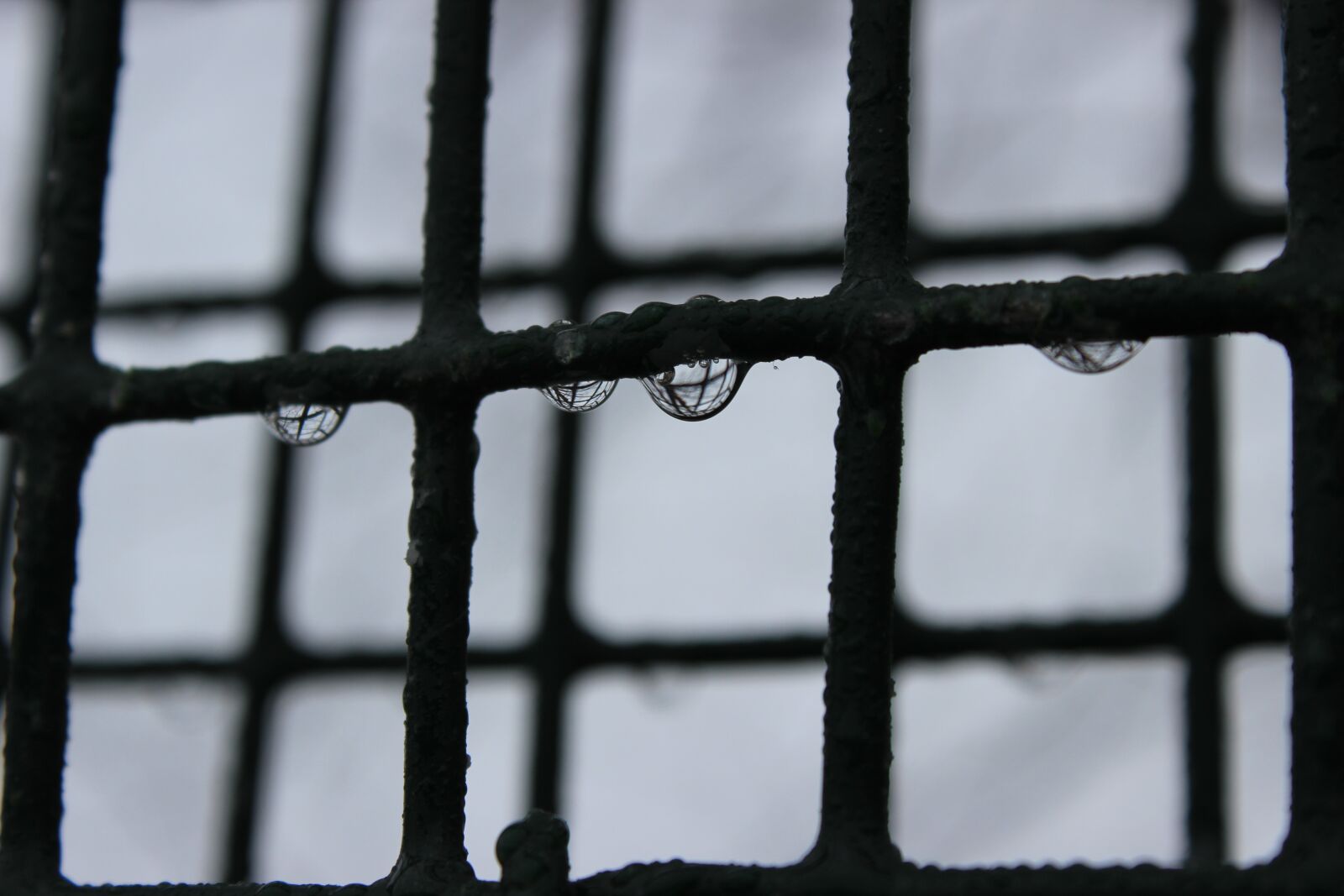 Canon EOS 600D (Rebel EOS T3i / EOS Kiss X5) sample photo. Water, drop, texture photography