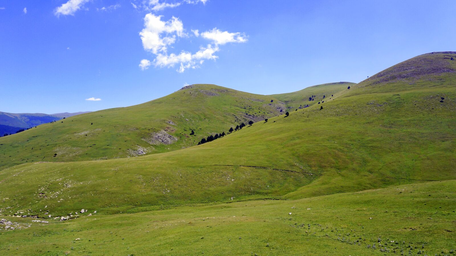 Sony a6000 sample photo. Meadows, mountain, green photography