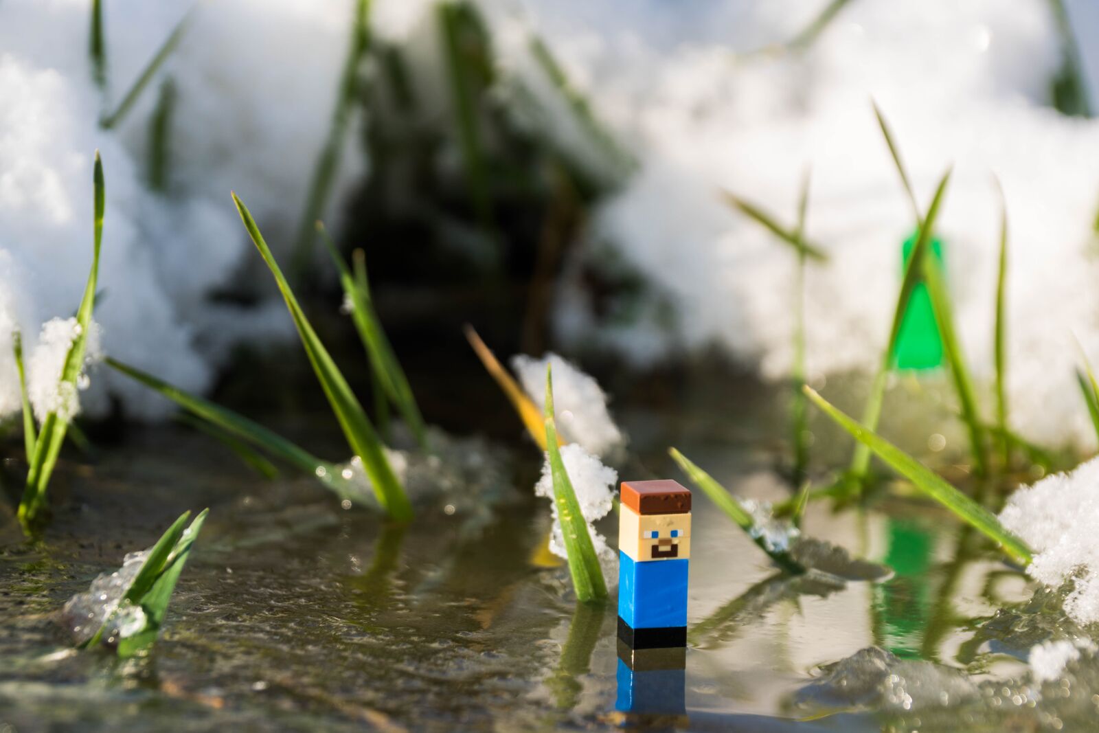 Sony DT 18-135mm F3.5-5.6 SAM sample photo. Minecraft, steve, creeper photography